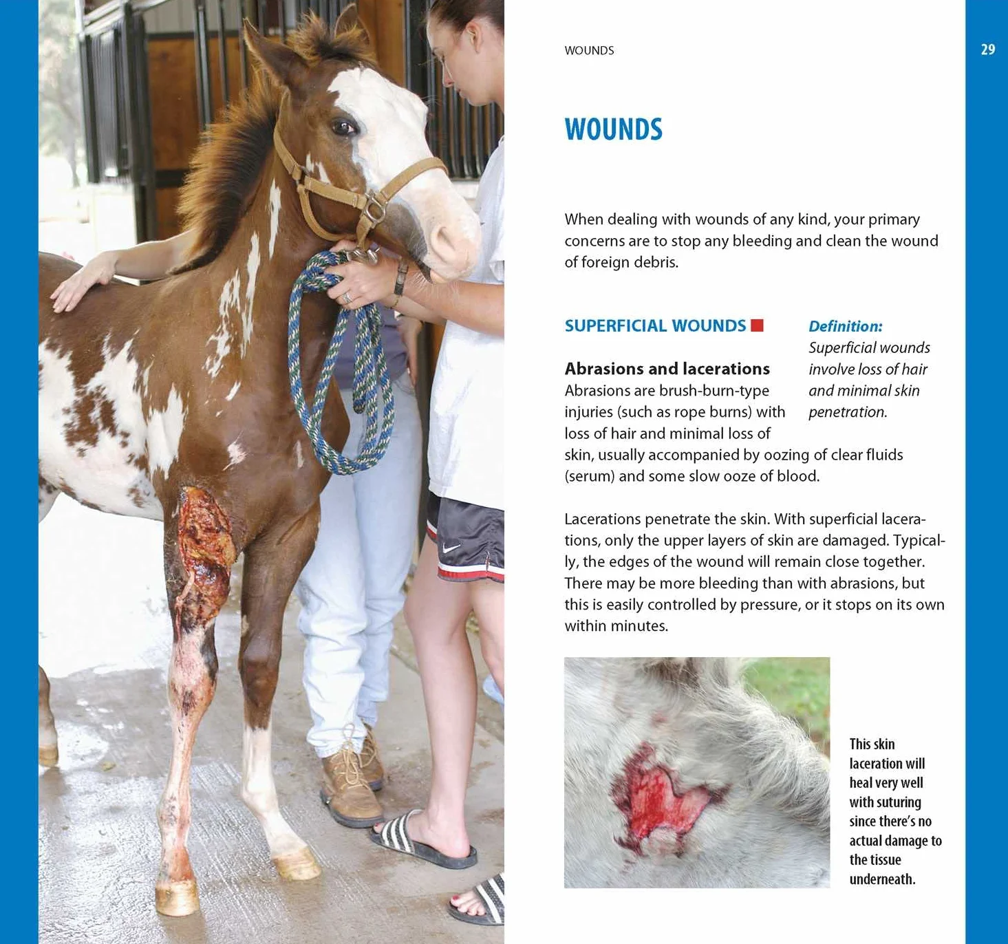 Dr. Kellon's Guide to First Aid for Horses: A Quick and Easy Reference to Conditions That Require Emergency Treatment