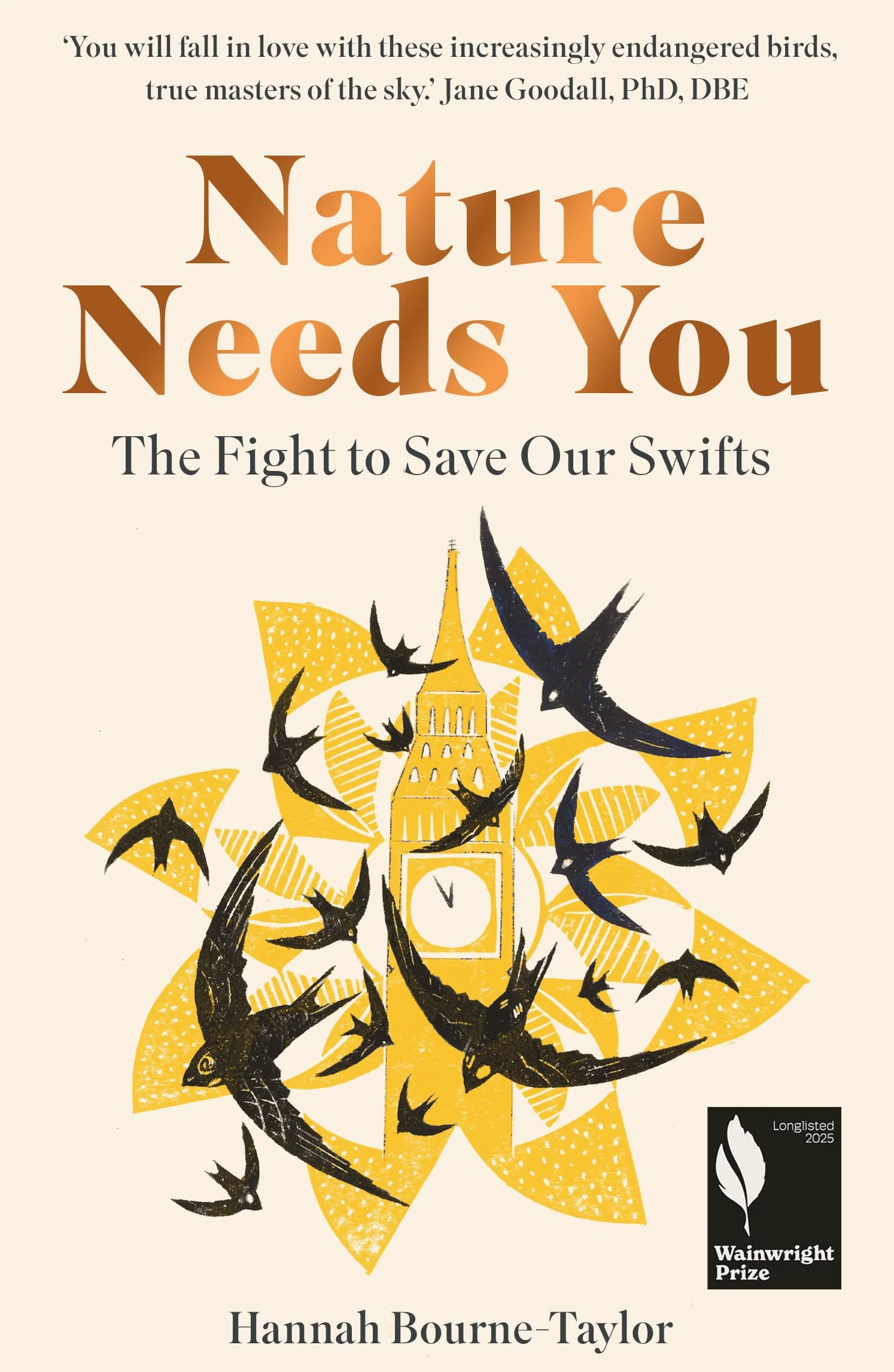 Nature Needs You: The Fight to Save Our Swifts