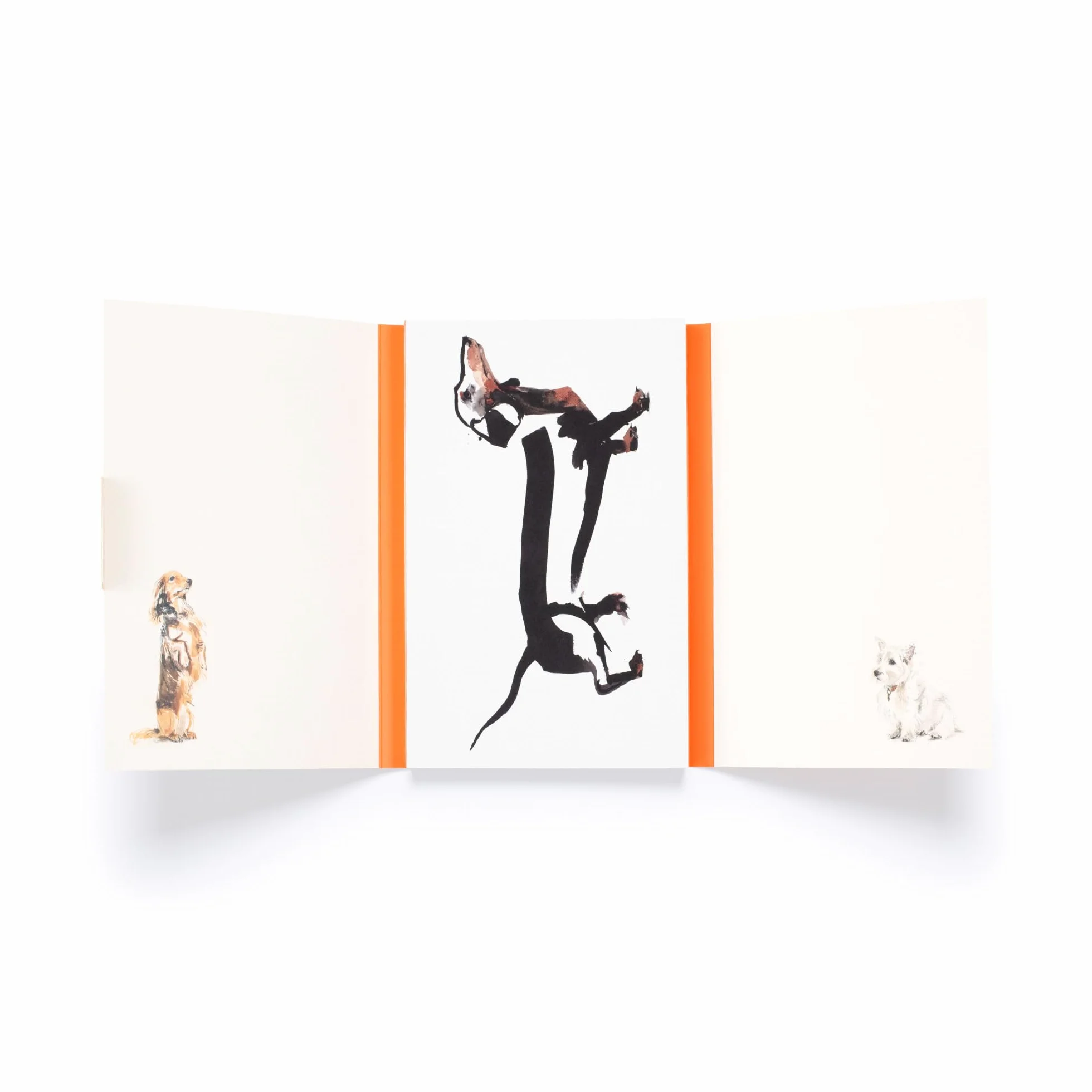 For the Love of Dogs: 25 Postcards