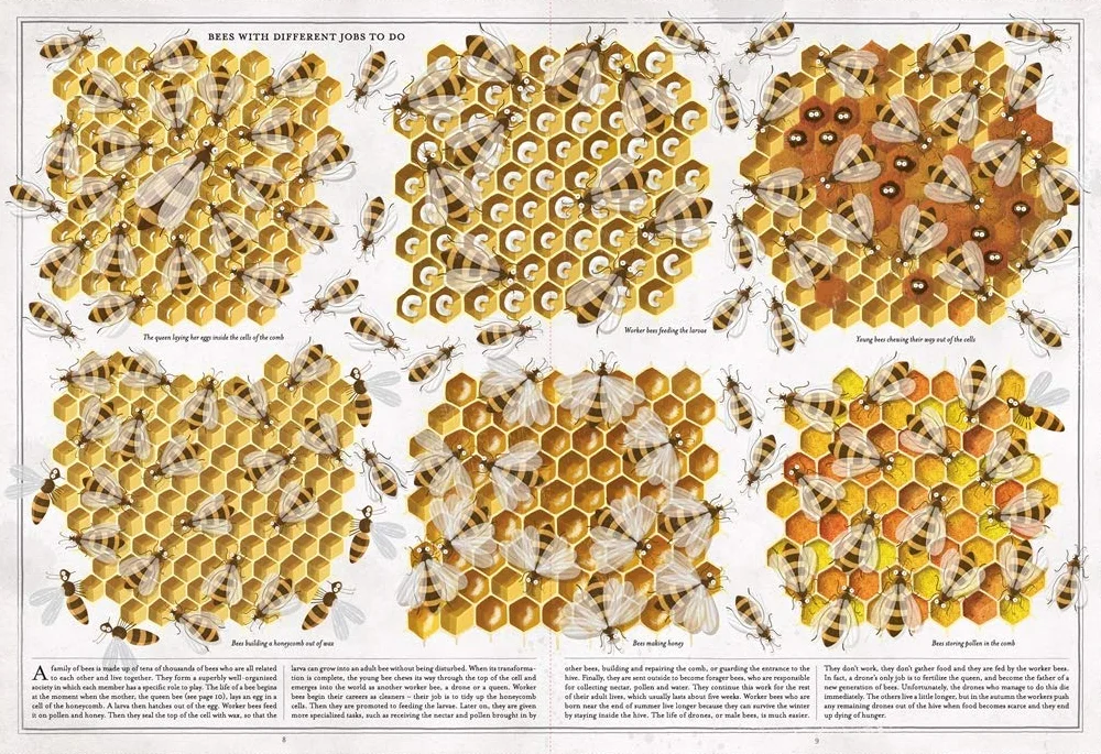 The Book of Bees! /anglais
