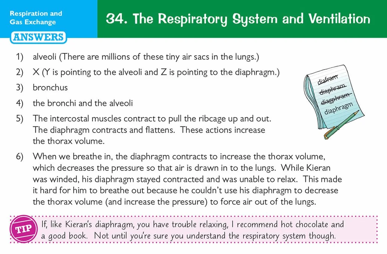 Edexcel International GCSE Biology Revision Question Cards