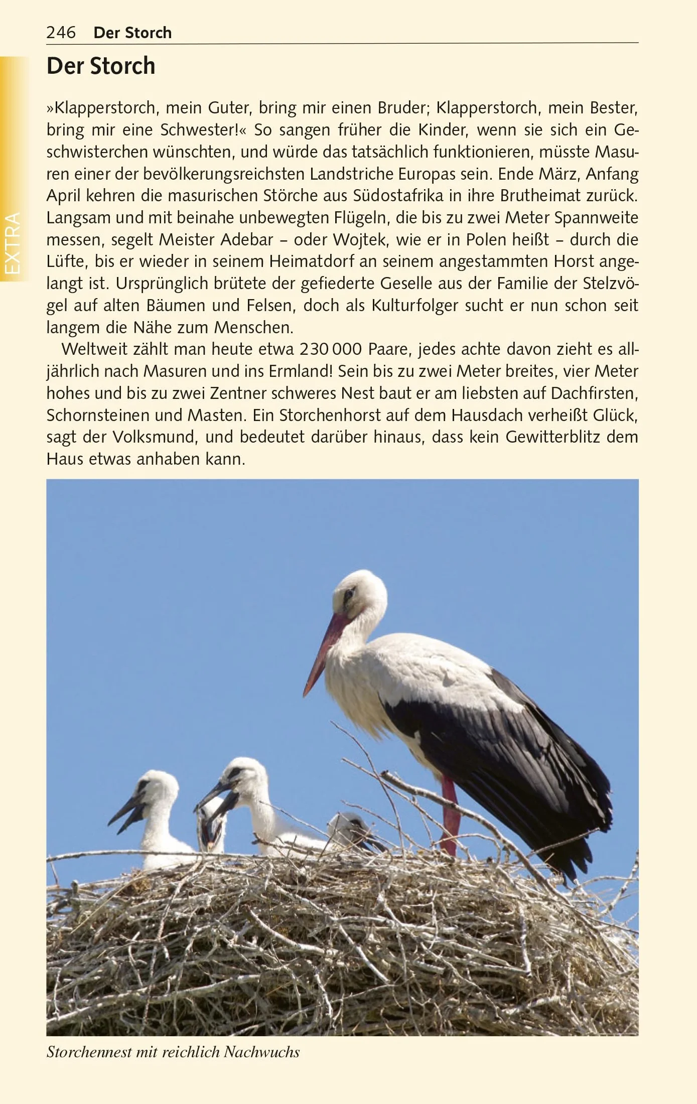 TRESCHER Reiseführer Masuren: Marienburg, Danzig, Thorn