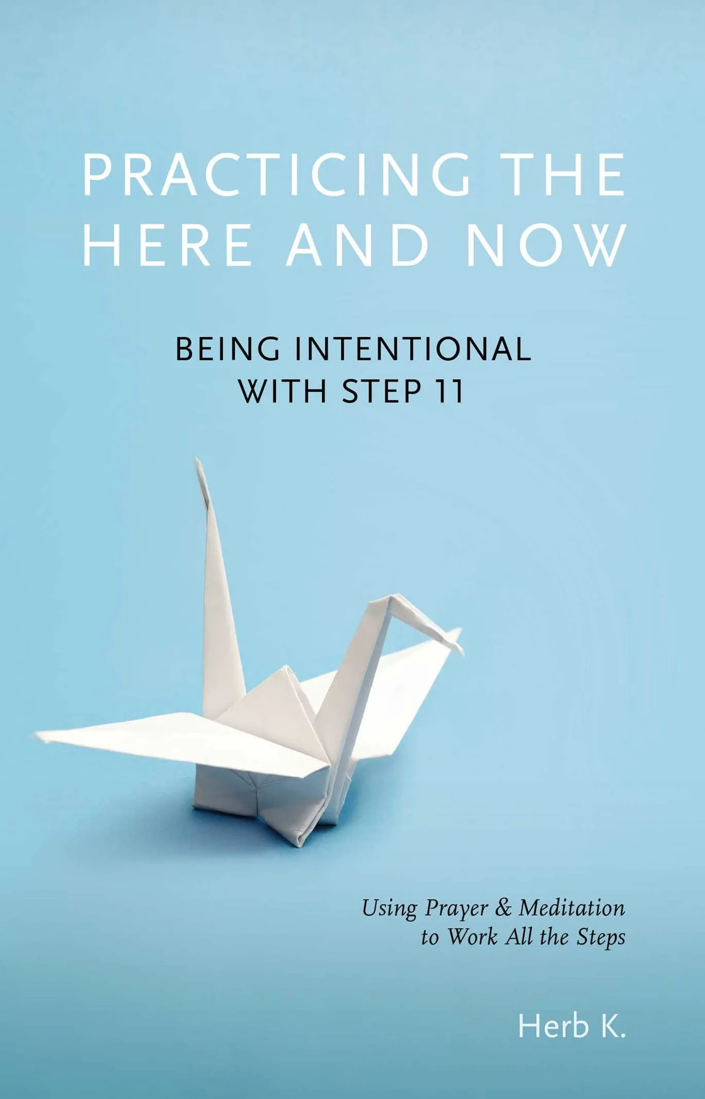 Practicing the Here and Now: Being Intentional with Step 11, Using Prayer & Meditation to Work All the Steps