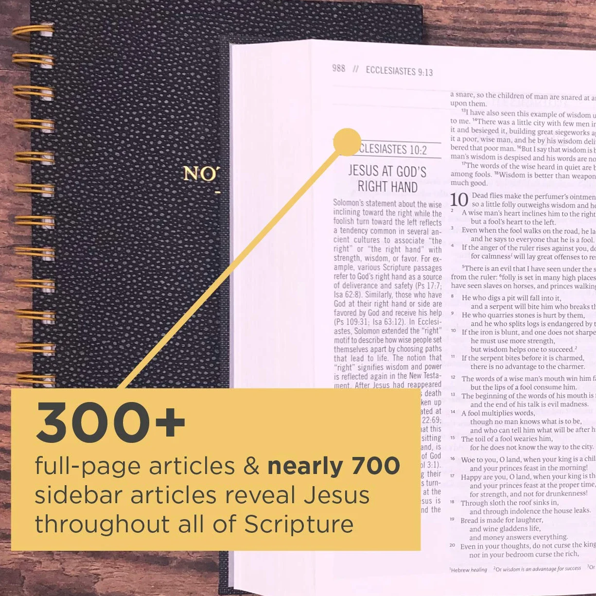The Jesus Bible, ESV Edition, Cloth over Board, Grey