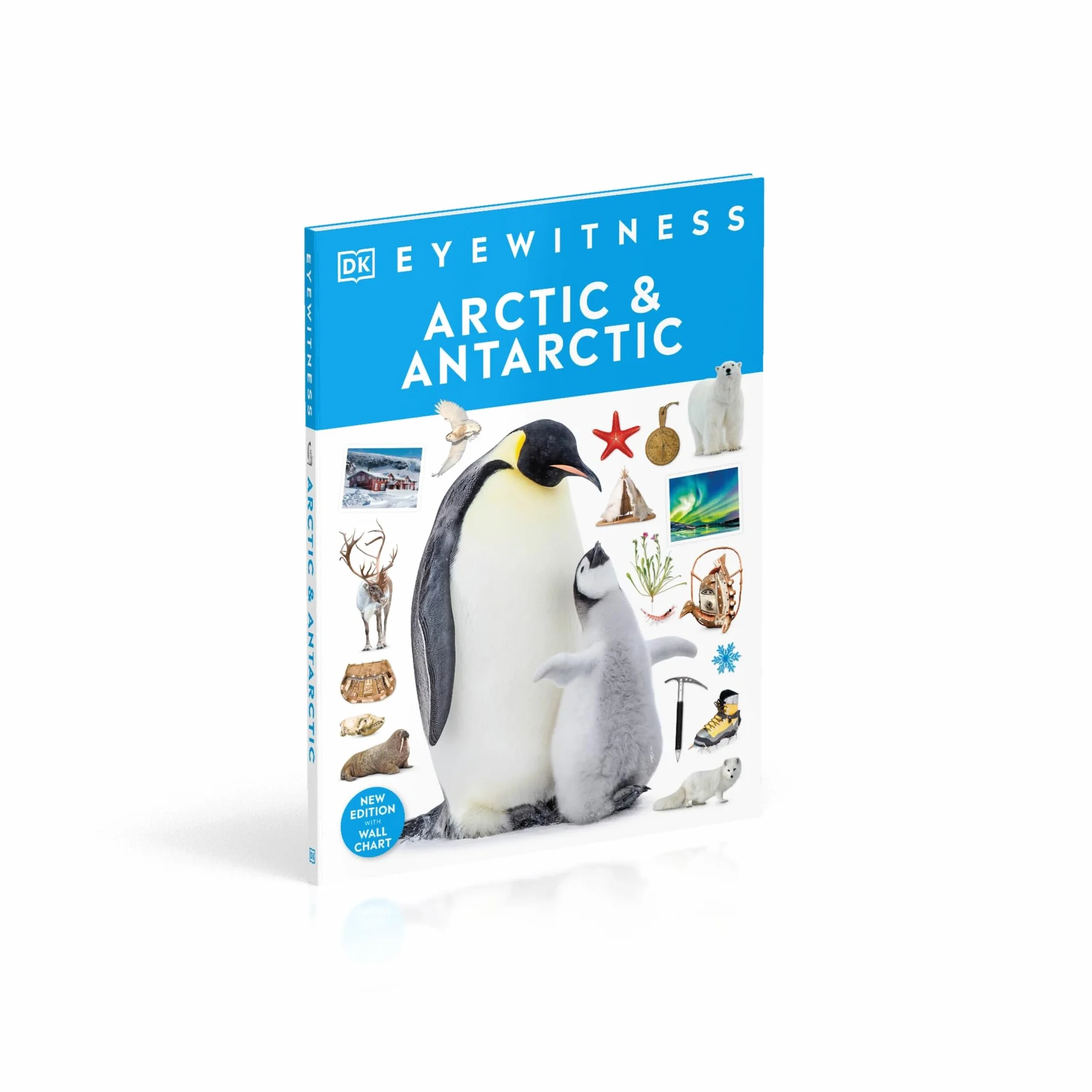 Arctic and Antarctic: DK Eyewitness