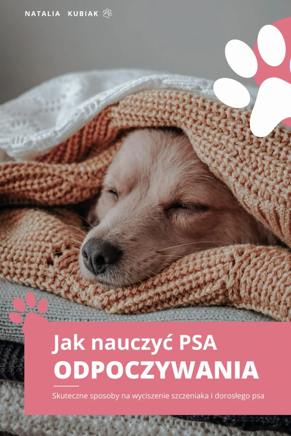 Jak nauczyć psa odpoczywania? Sposoby na wyciszenie szczeniaka i dorosłego psa