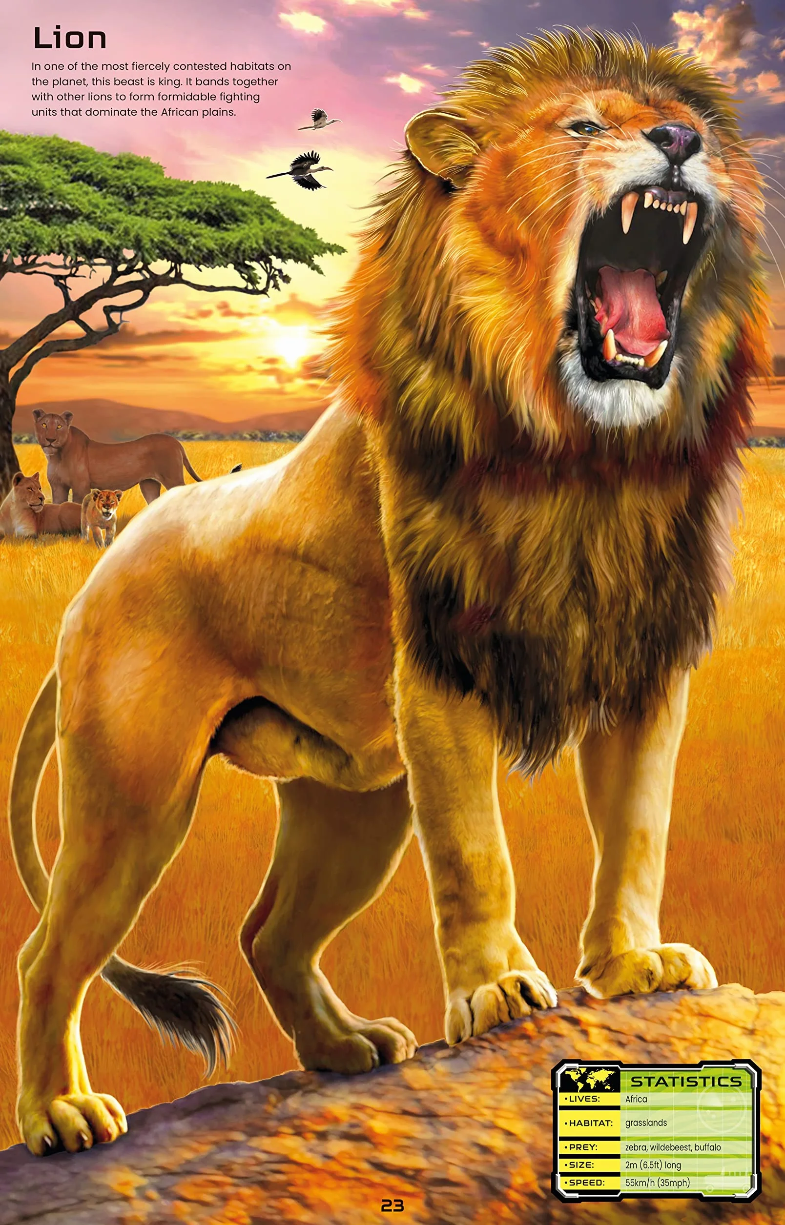 Build Your Own Deadly Animals Sticker Book