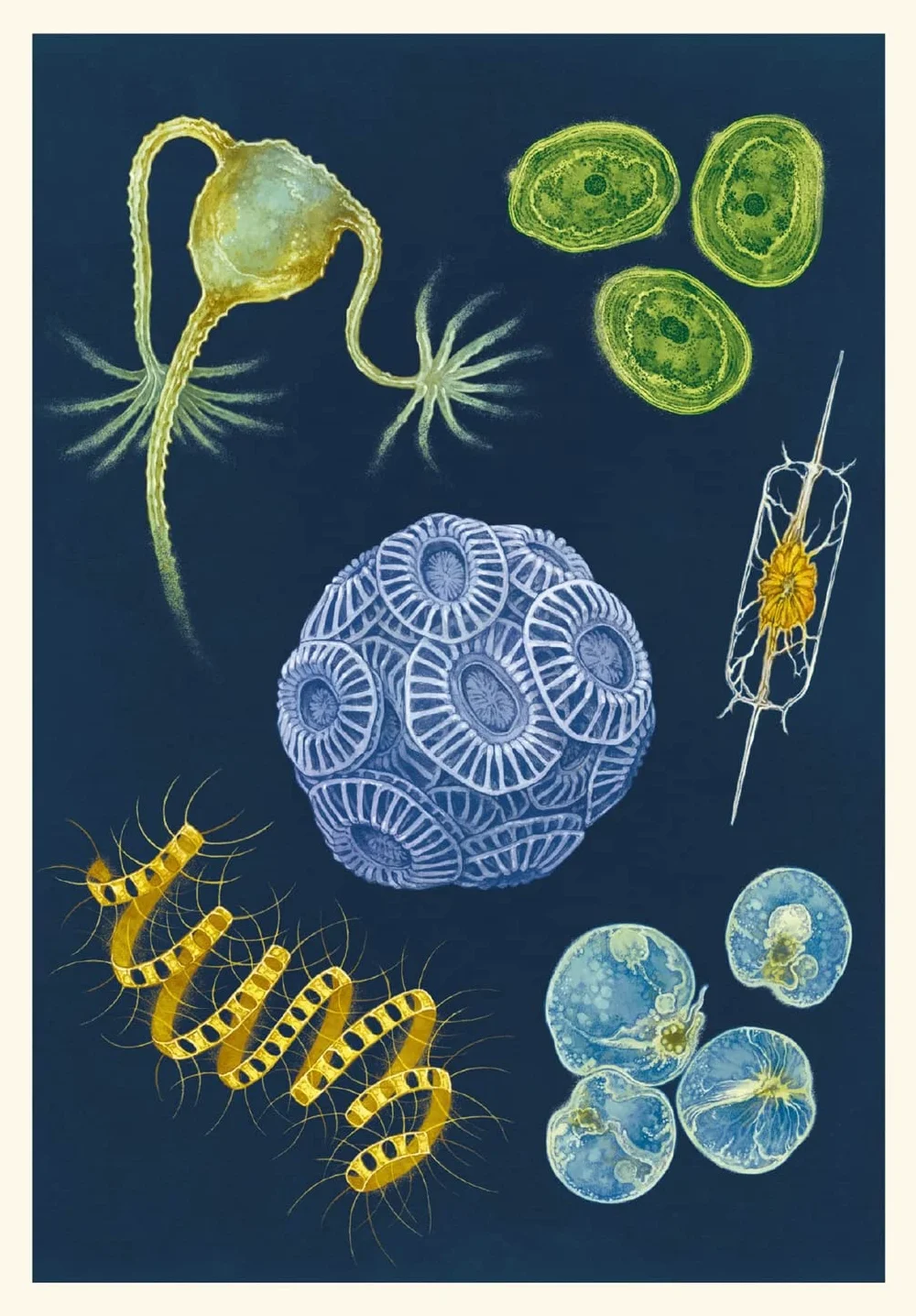 Oceanarium Postcards