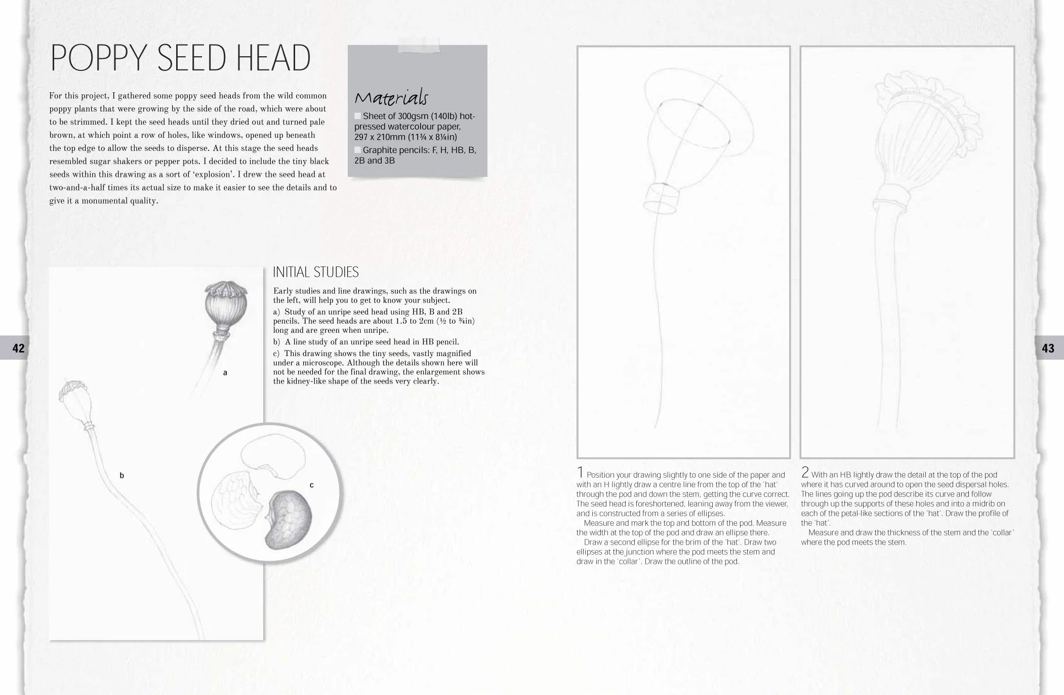 Botanical Drawing: A Step-By-Step Guide to Drawing Flowers, Vegetables, Fruit and Plant Life