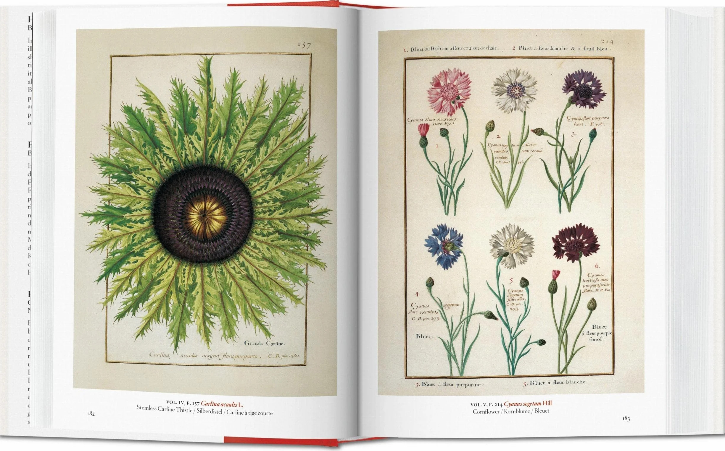 Masterpieces of Botanical Illustration 45th Ed.
