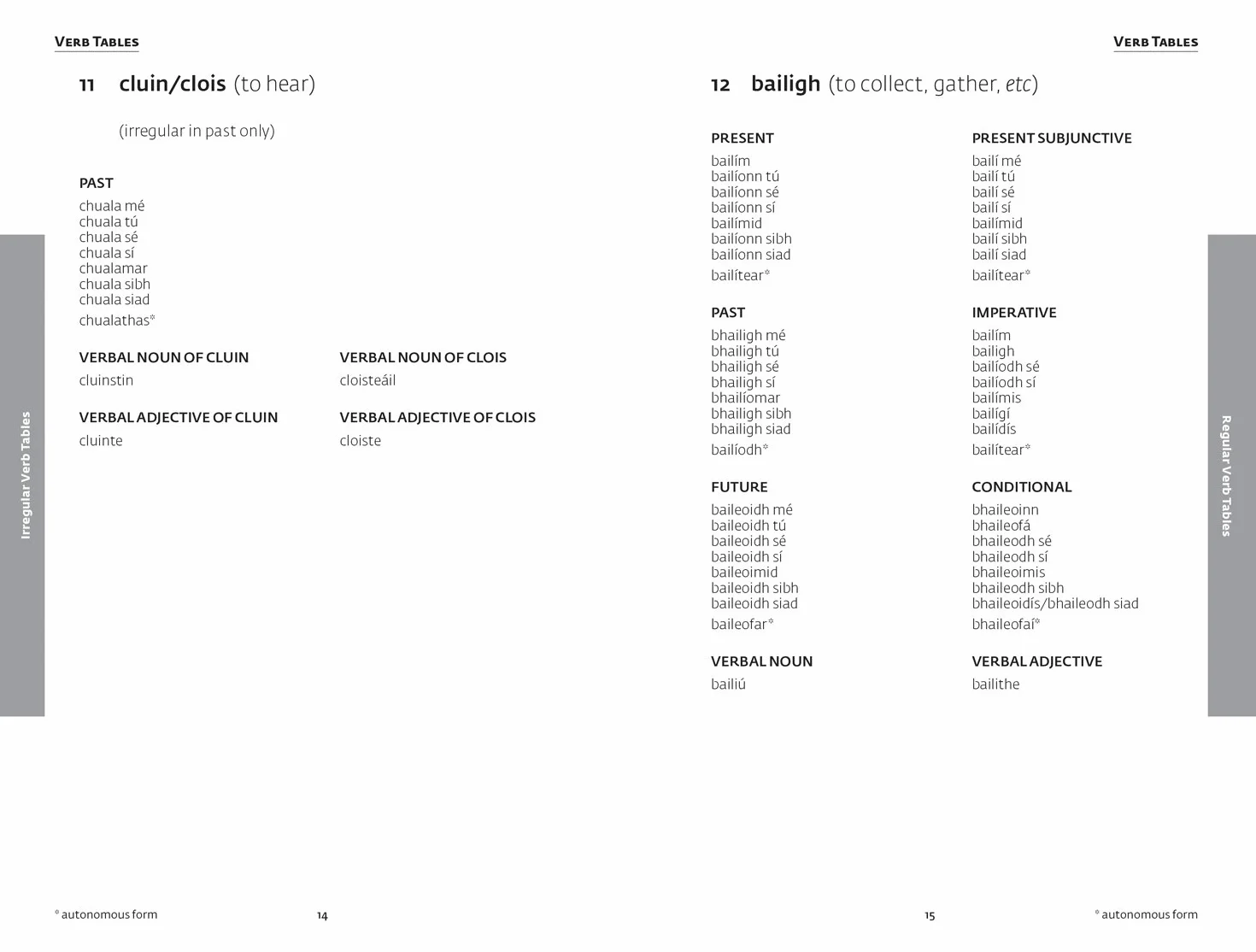 Easy Learning Irish Grammar: Trusted support for learning