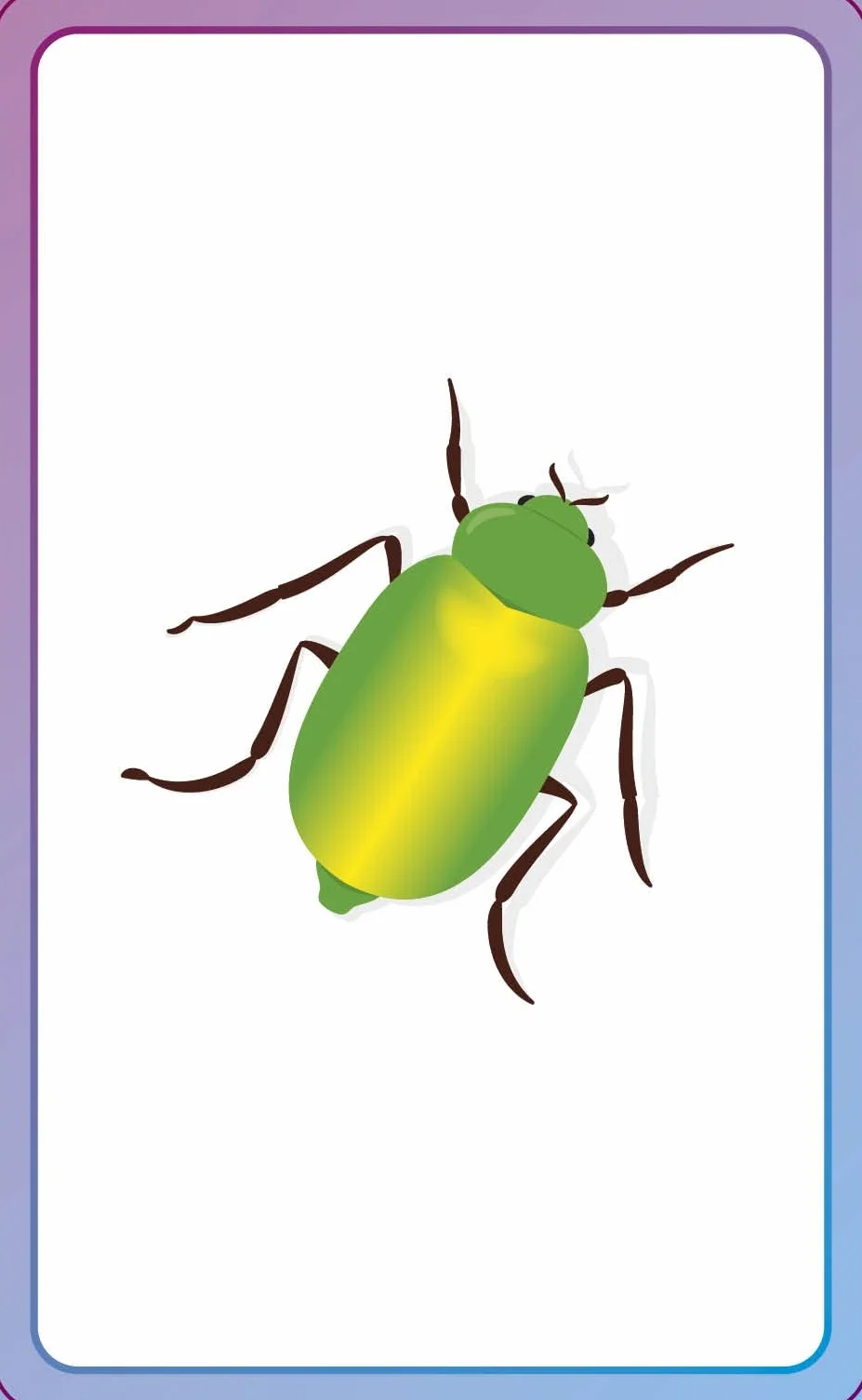English for Everyone Junior First Words Animals Flash Cards