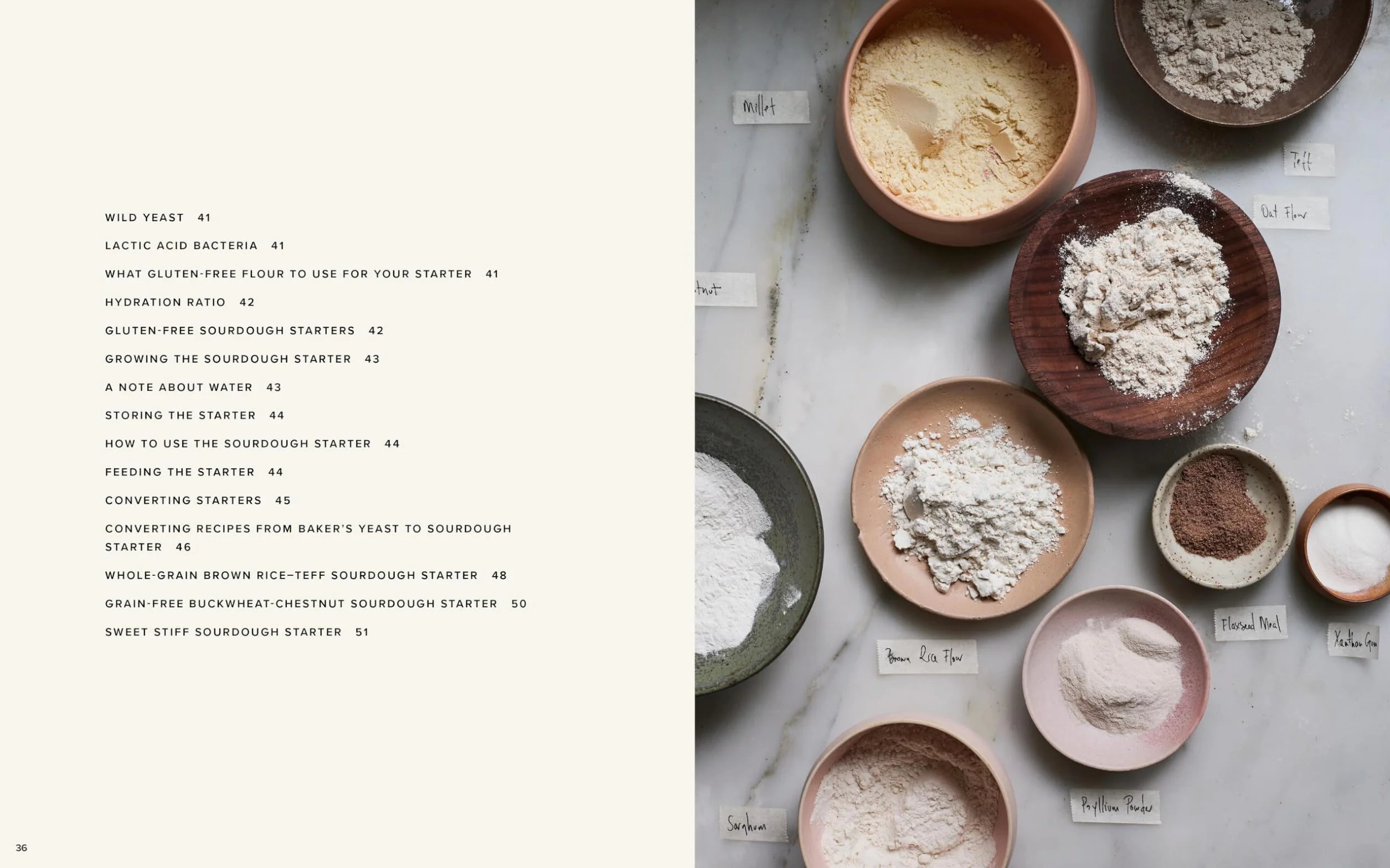 Gluten-Free Bread: Artisanal Recipes for Breads and Pastries