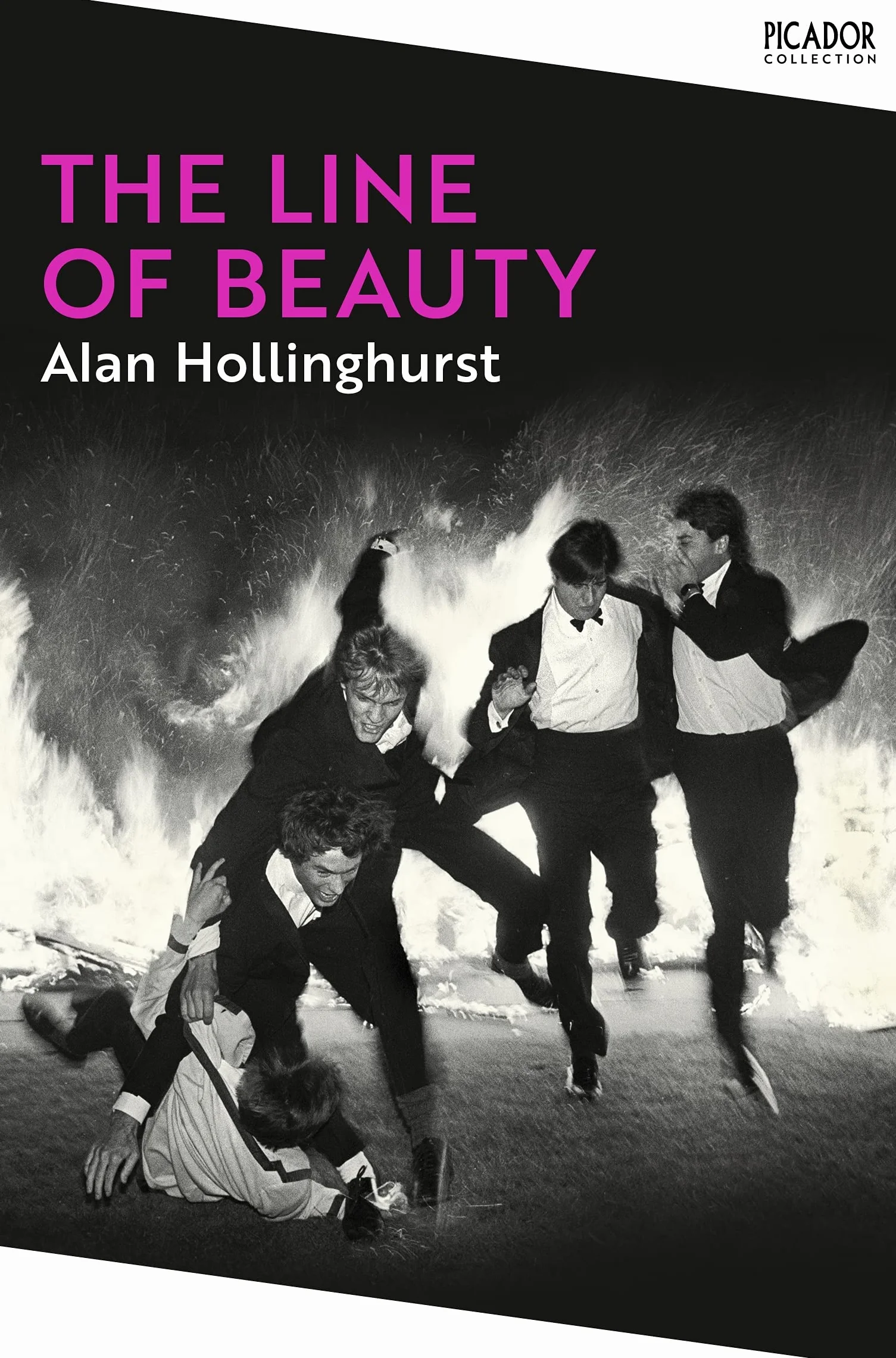 The Line of Beauty Alan Hollinghurst