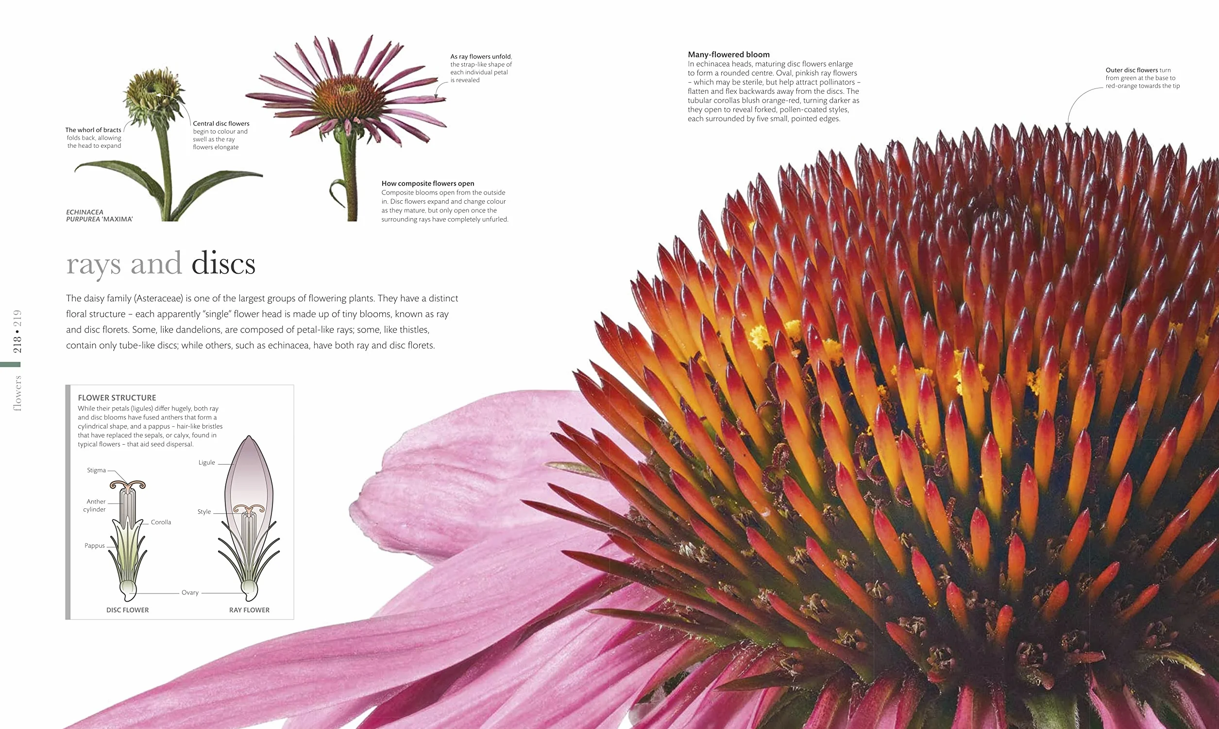 The Science of Plants: Inside their Secret World