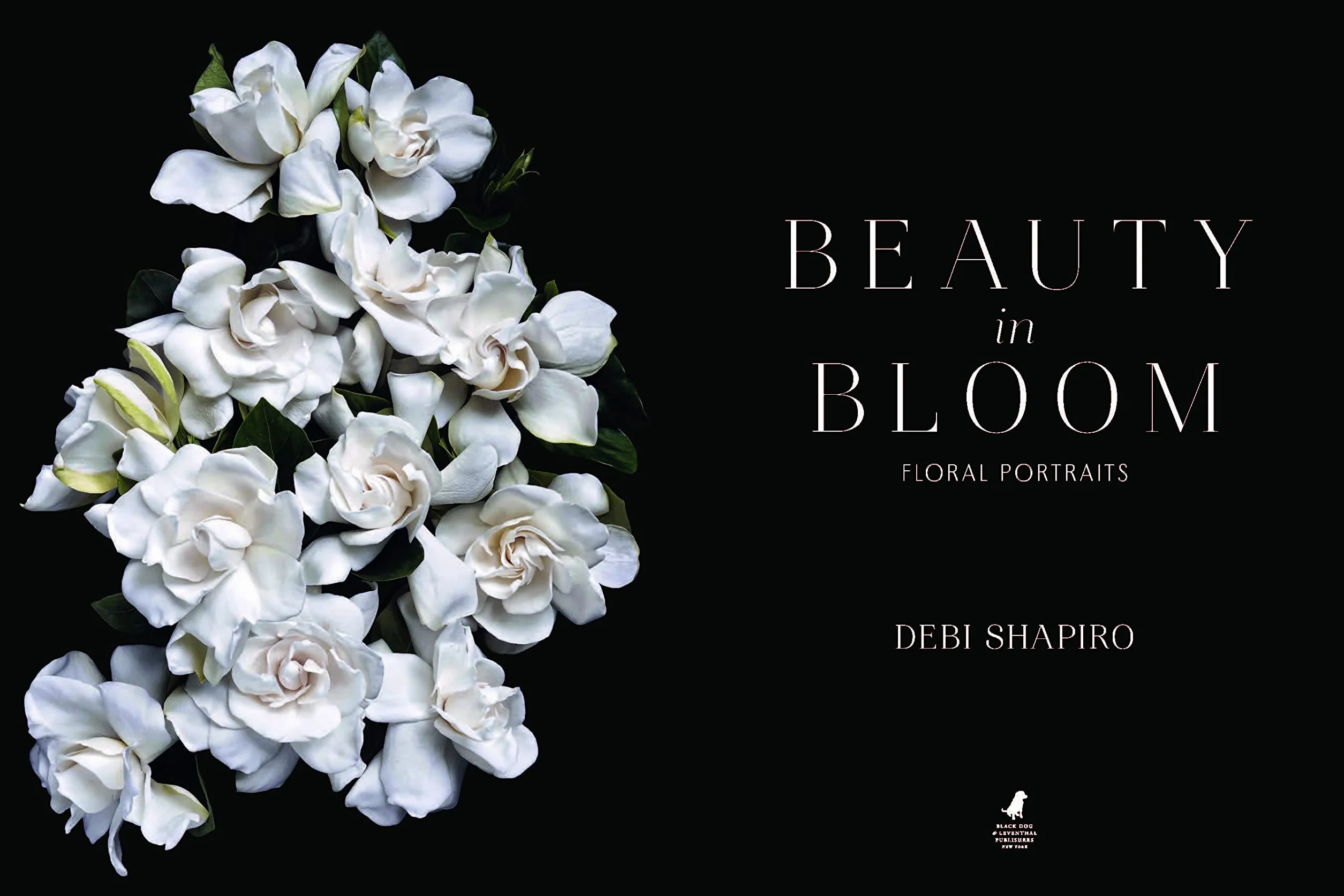 Beauty in Bloom: Floral Portraits