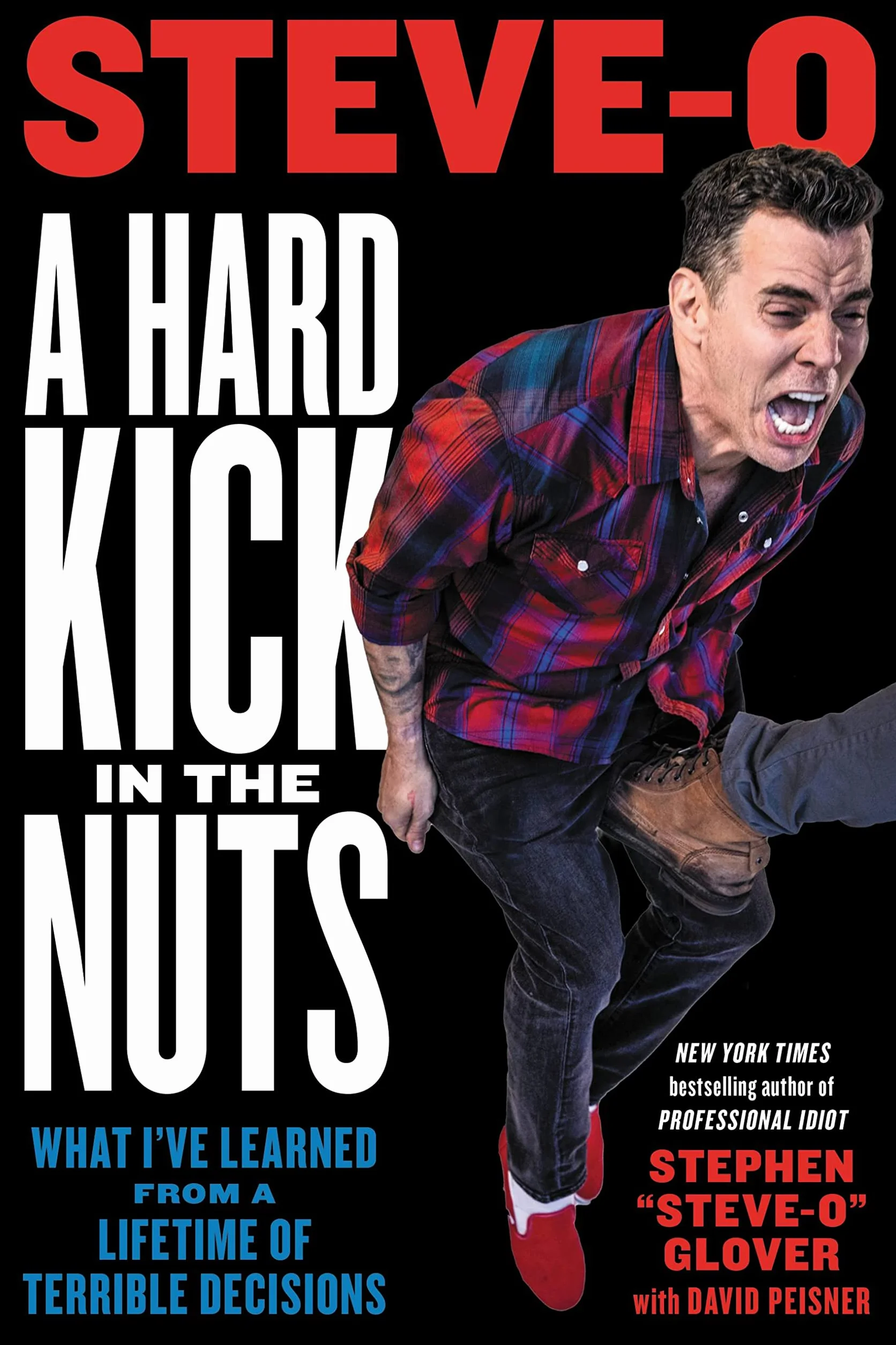 A Hard Kick in the Nuts: What I've Learned from a Lifetime of Terrible Decisions