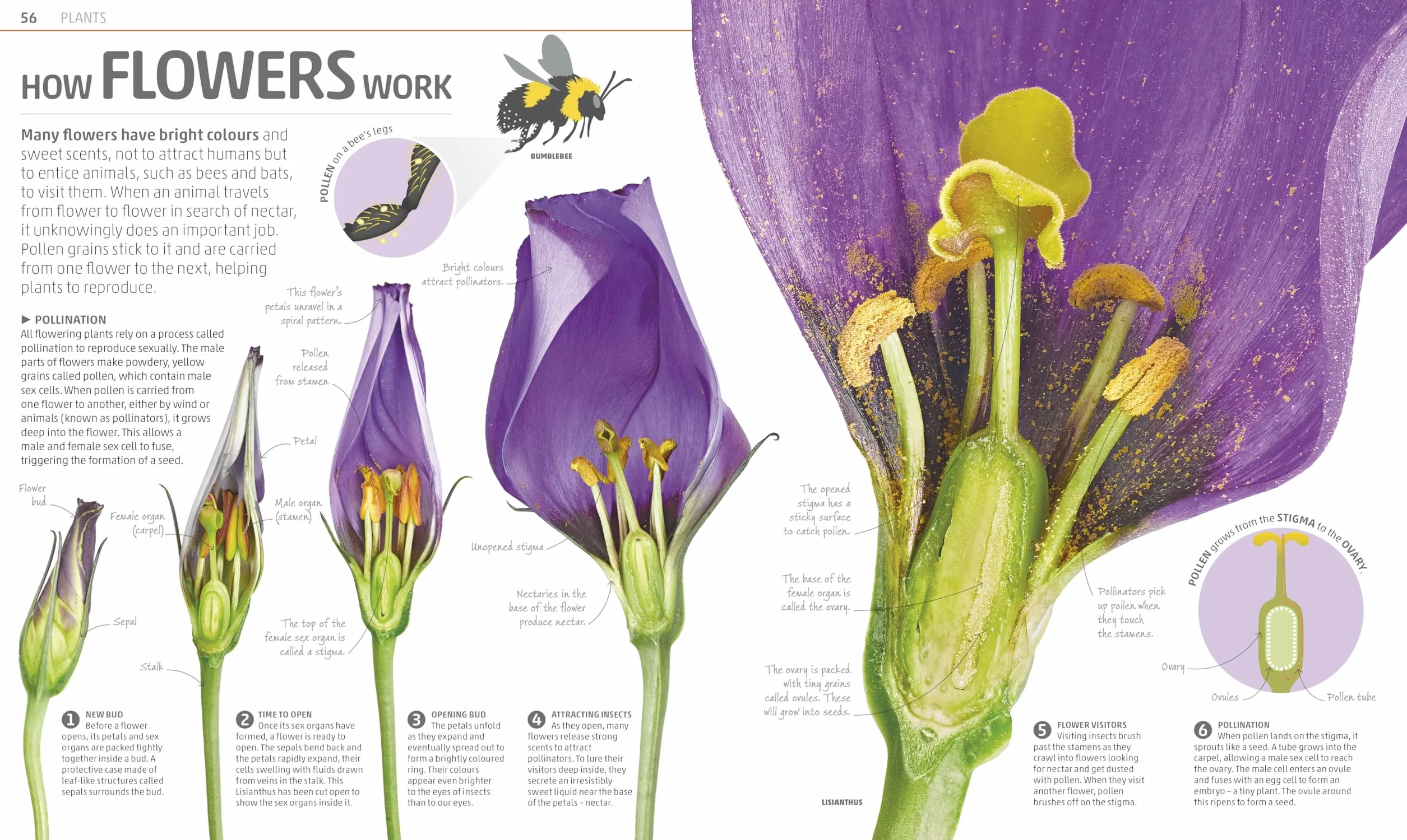 Explanatorium of Nature: Where the Wonders of the World are Revealed
