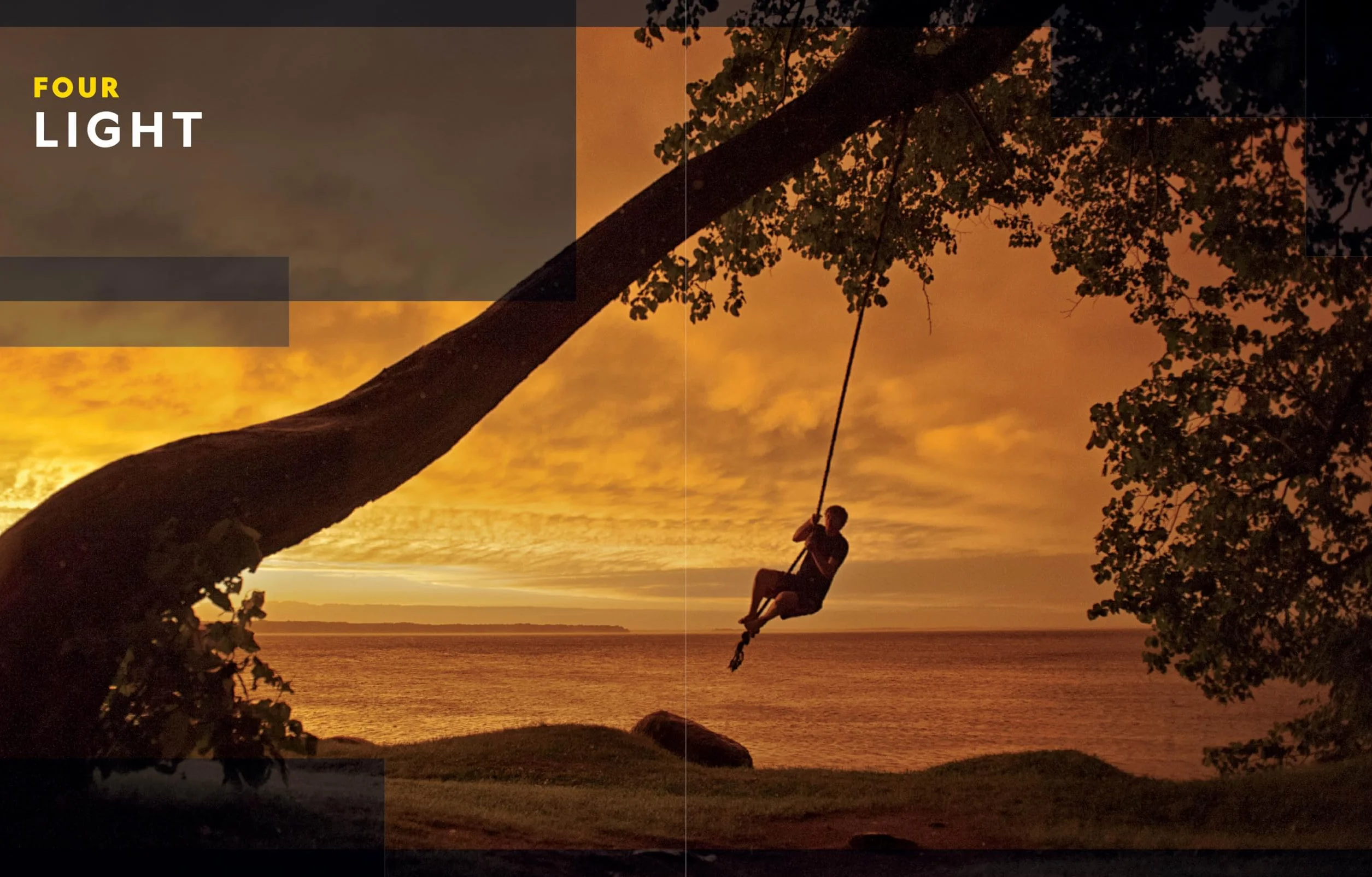 National Geographic Photo Basics: The Ultimate Beginner's Guide to Great Photography