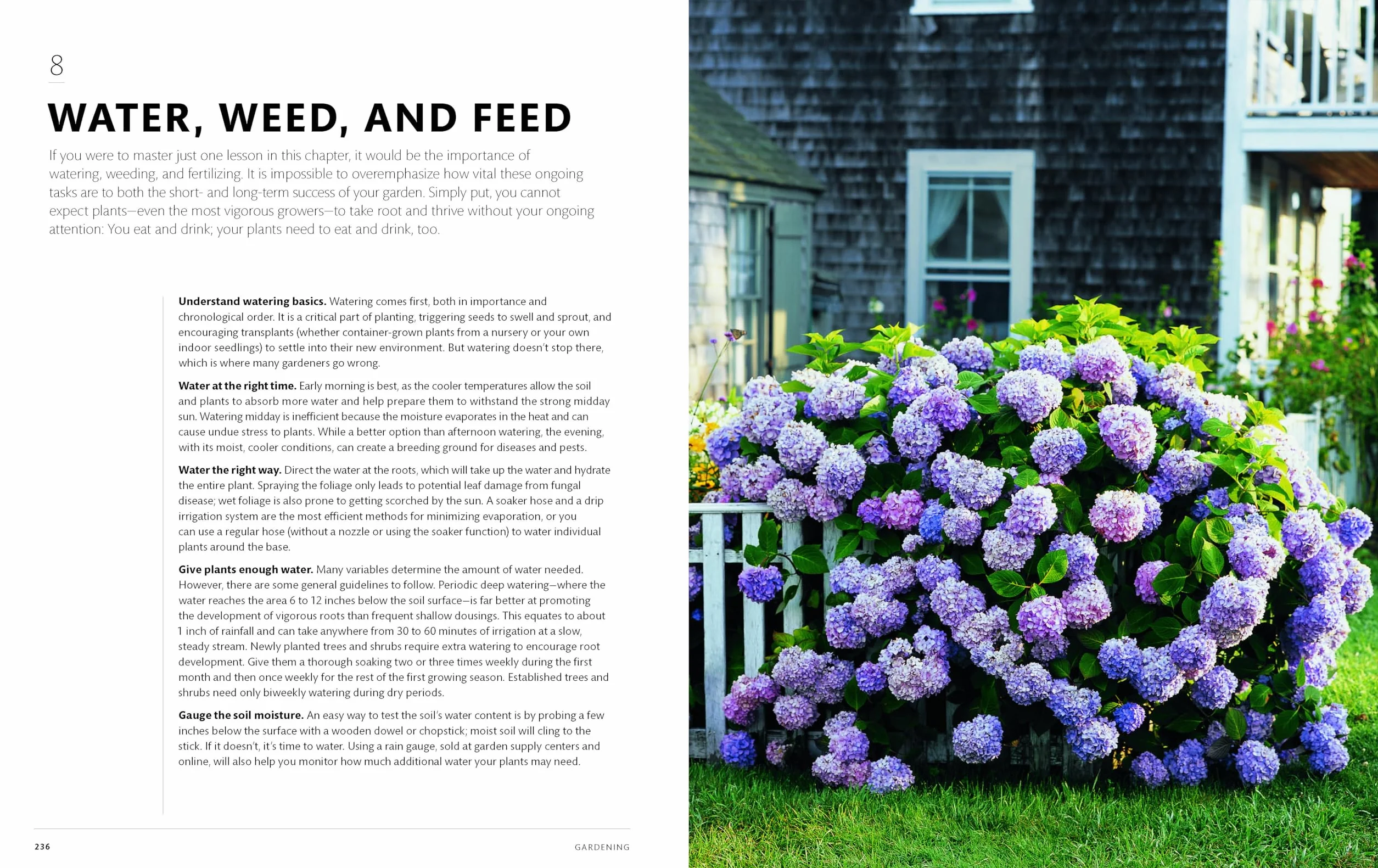 The Martha Way: Essential Principles for Mastering Home and Living