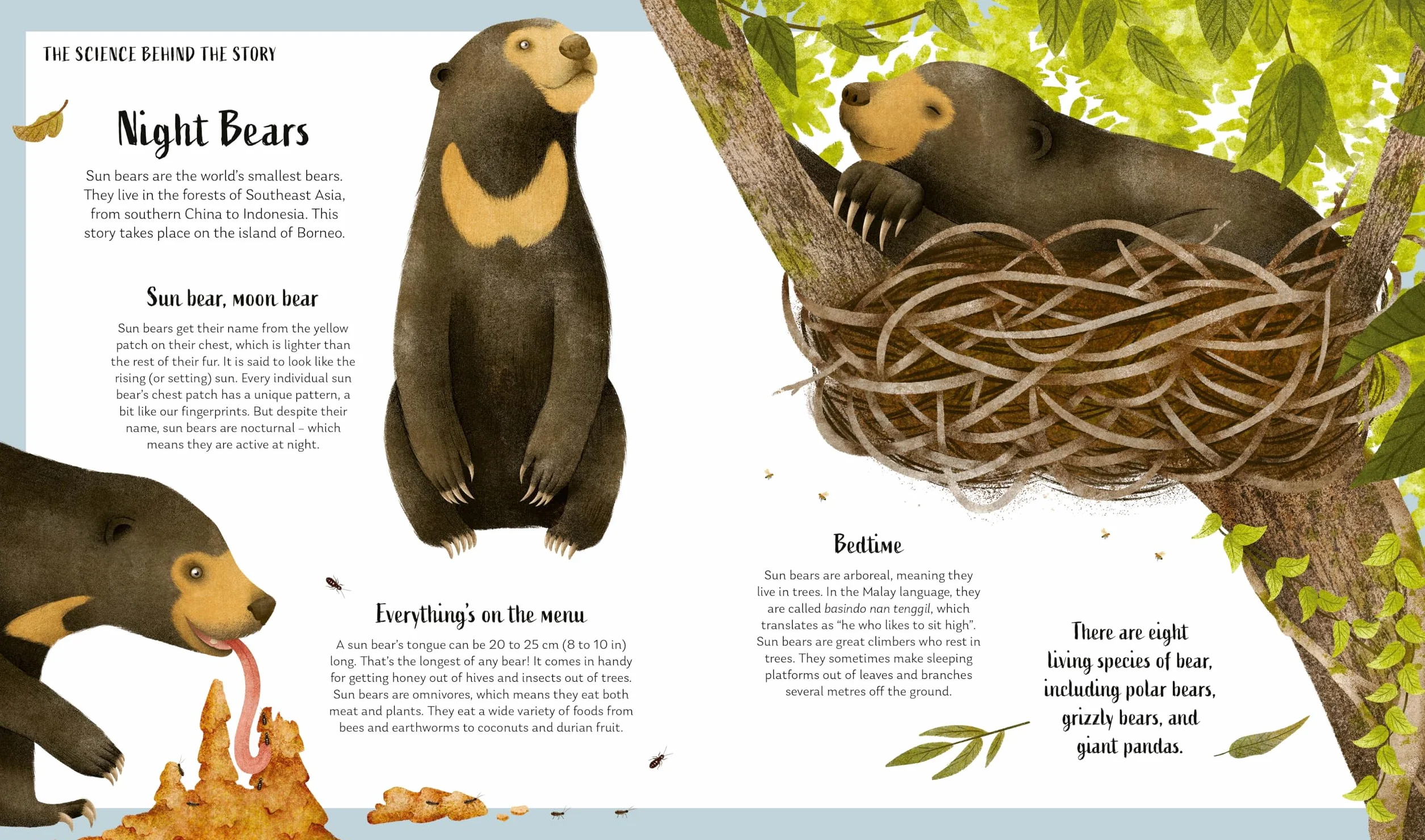 Secrets of the Forest: 15 Bedtime Stories Inspired by Nature