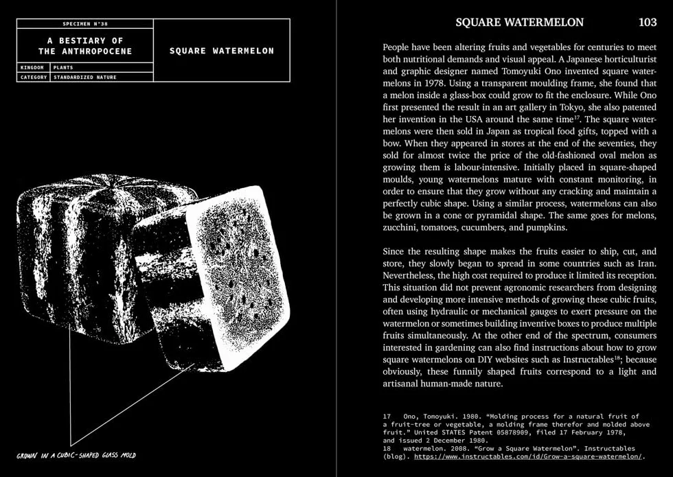 A Bestiary of the Anthropocene: Hybrid Plants, Animals, Minerals, Fungi, and Other Specimens