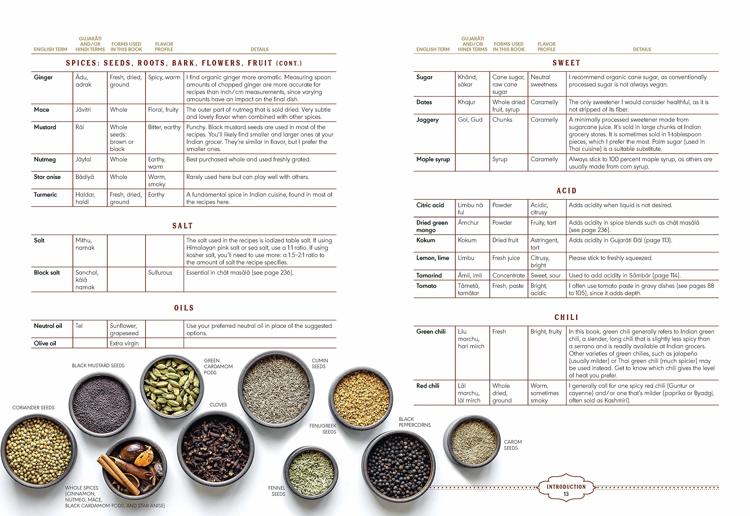 Plant-Based India: Nourishing Recipes Rooted in Tradition
