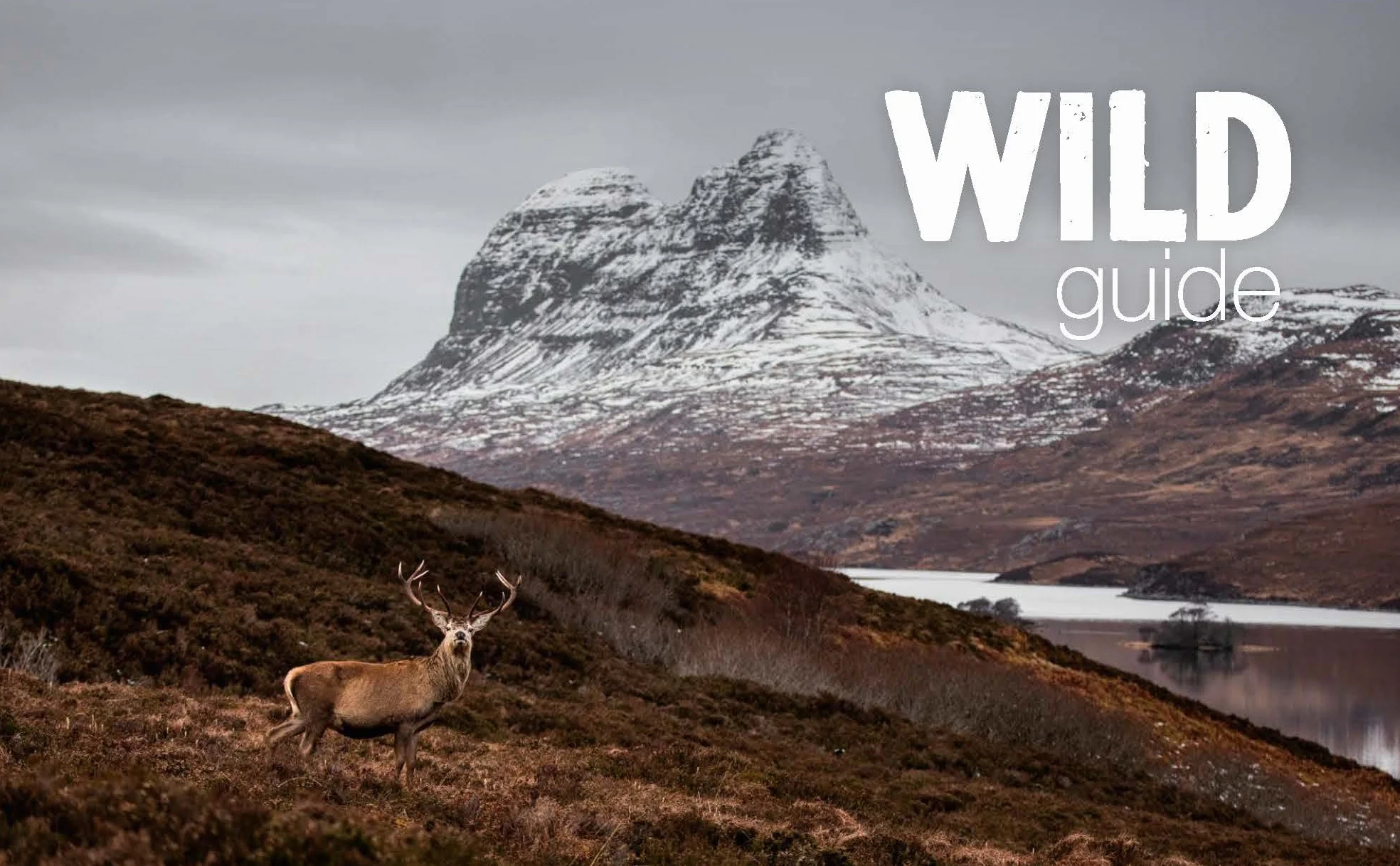Wild Guide Scotland: Second Edition Hidden Places Great Adventures Good Life