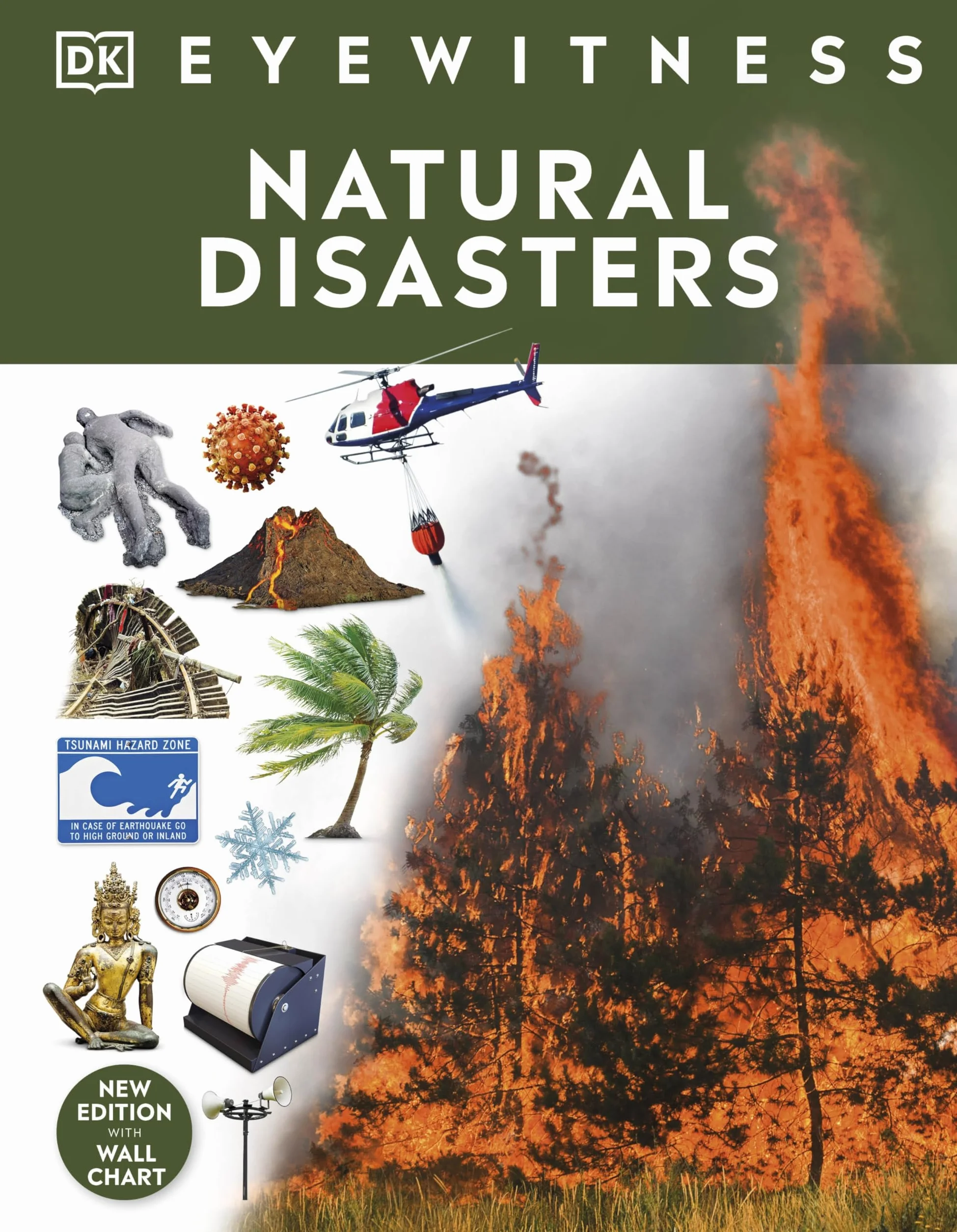 Natural Disasters: DK Eyewitness