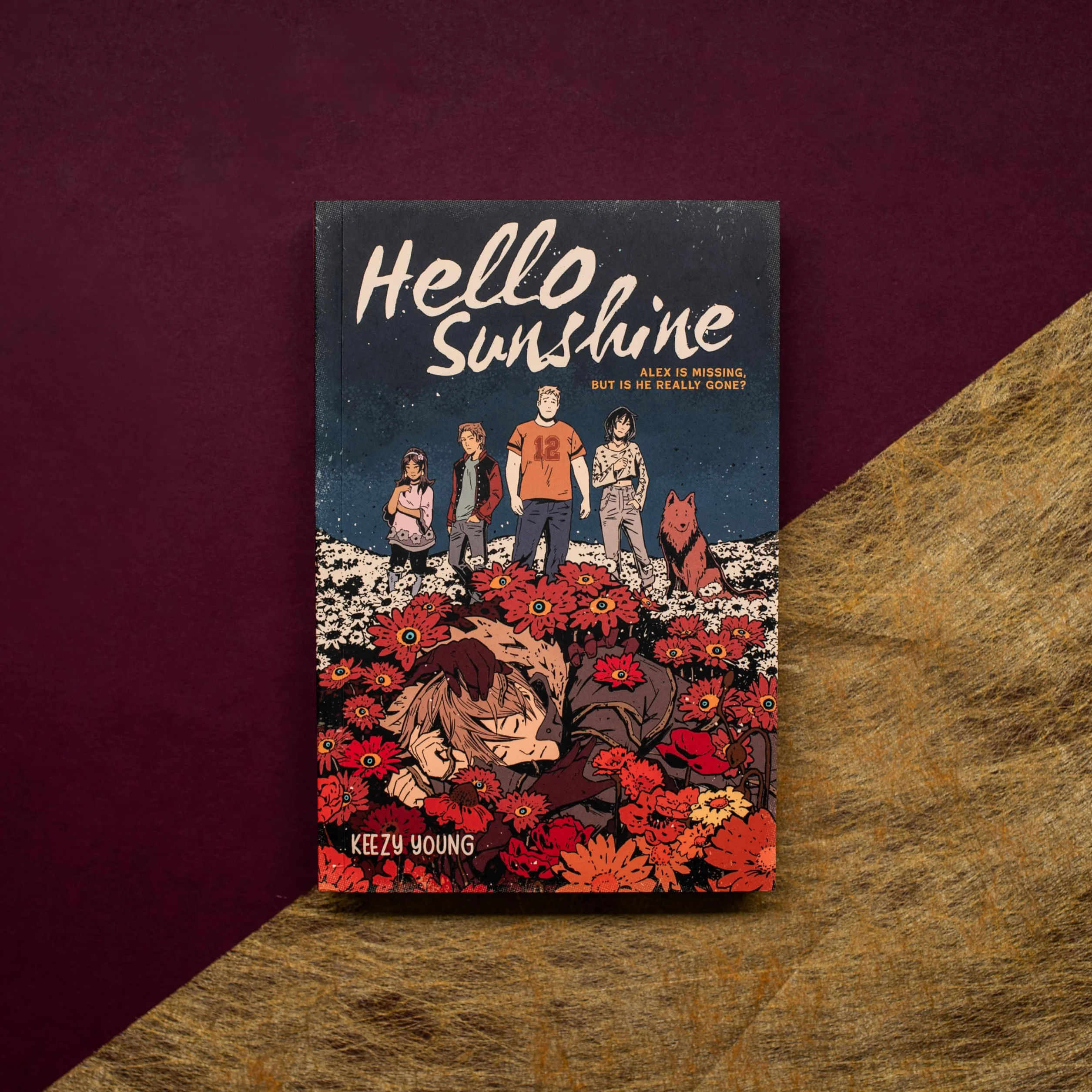 Hello Sunshine (Graphic Novel)