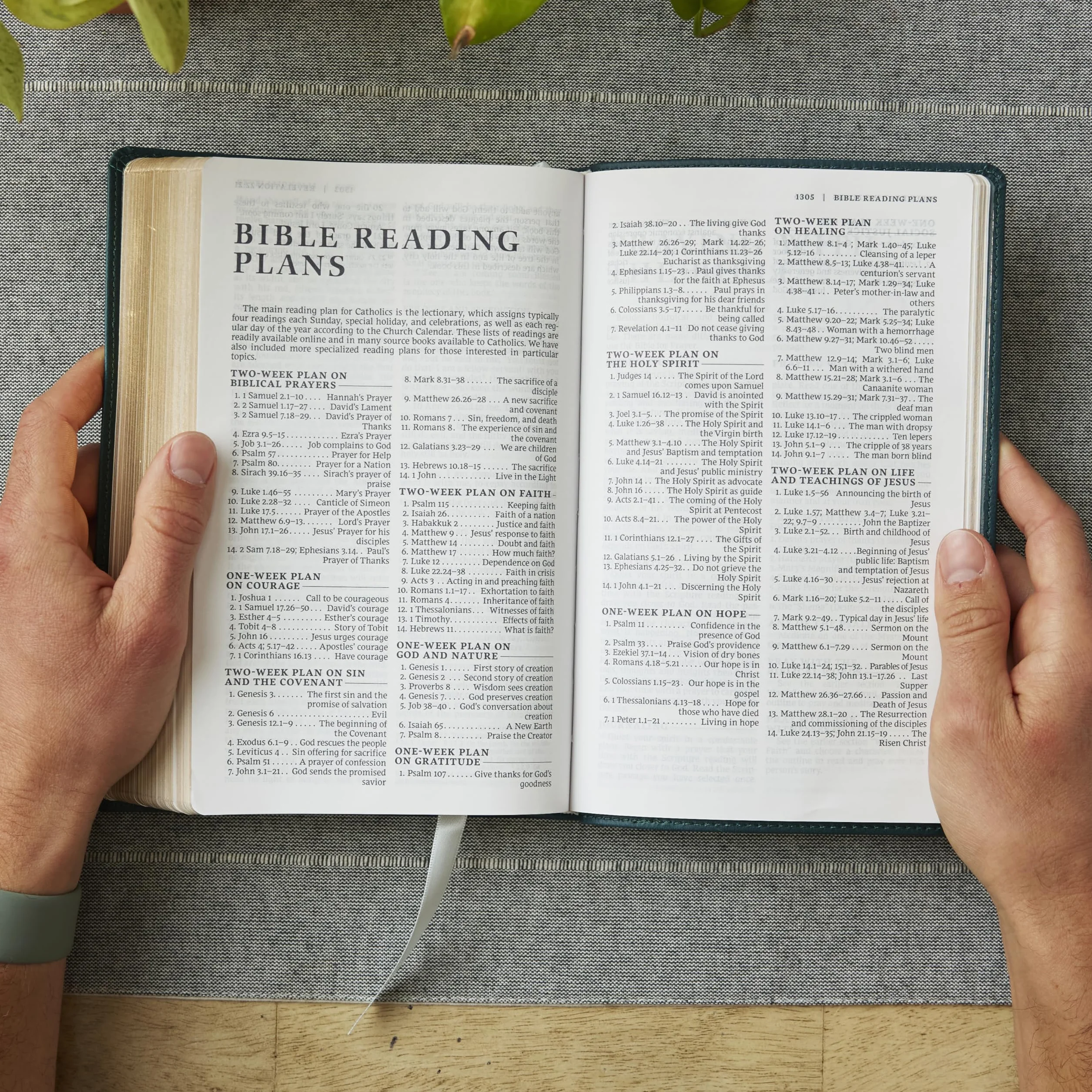 Catholic Bible, Leathersoft, White, Comfort Print, Nrsv, Gift Edition