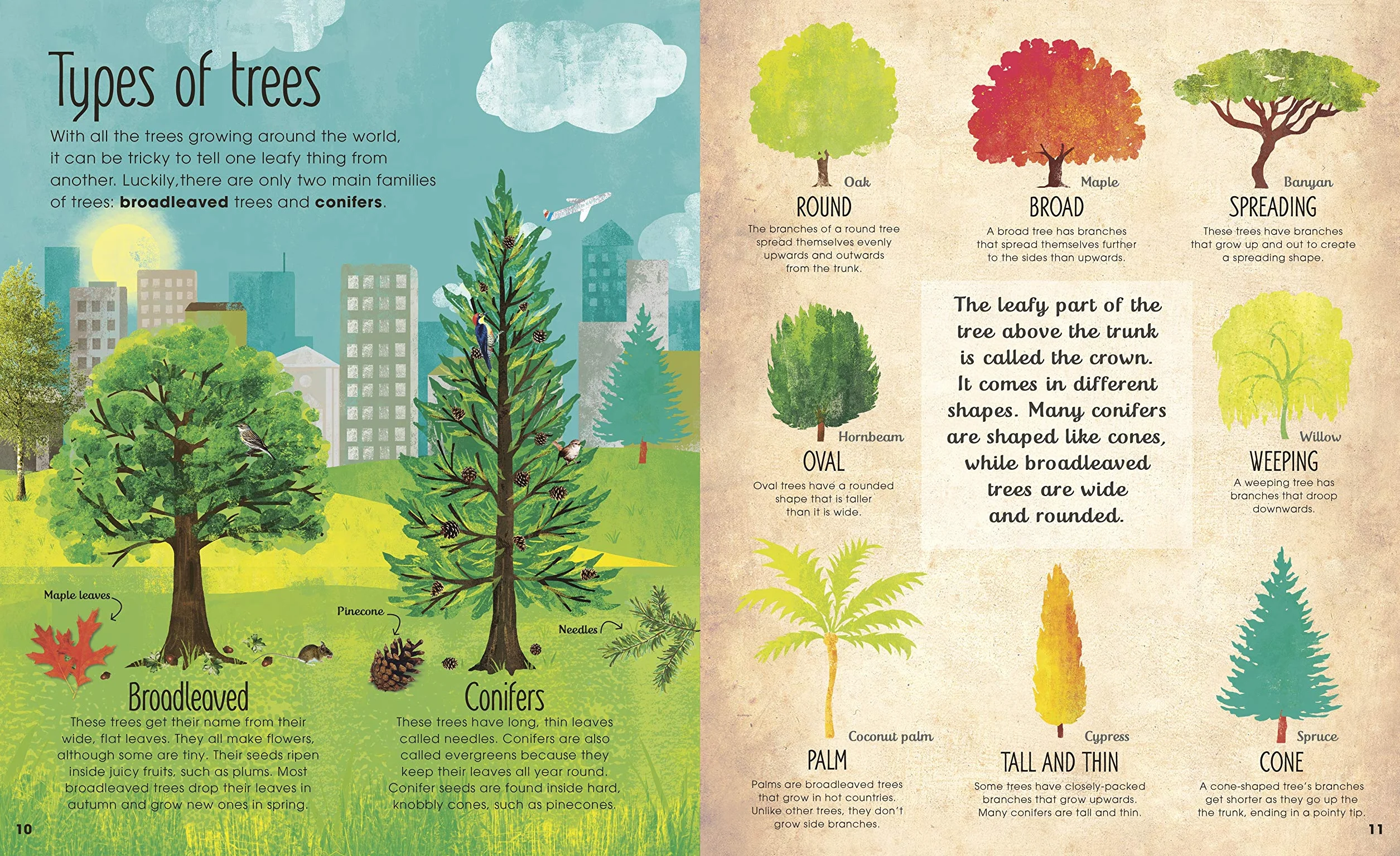 The Magic and Mystery of Trees (The Magic and Mystery of Nature)