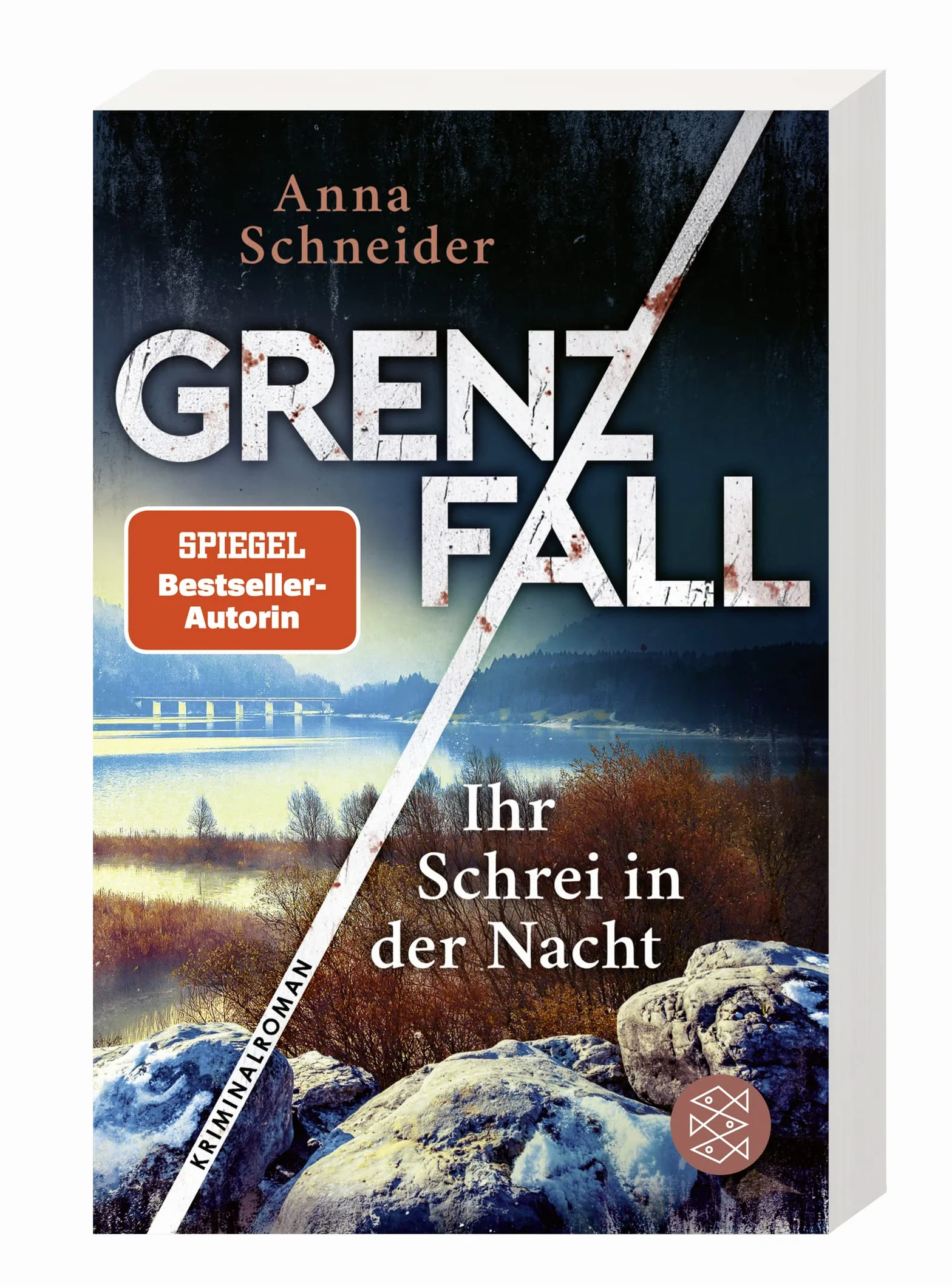 Grenzfall - Ihr Schrei in der Nacht: Kriminalroman | Die grenzüberschreitende Bestseller-Serie zwischen Deutschland & Österreich: 2
