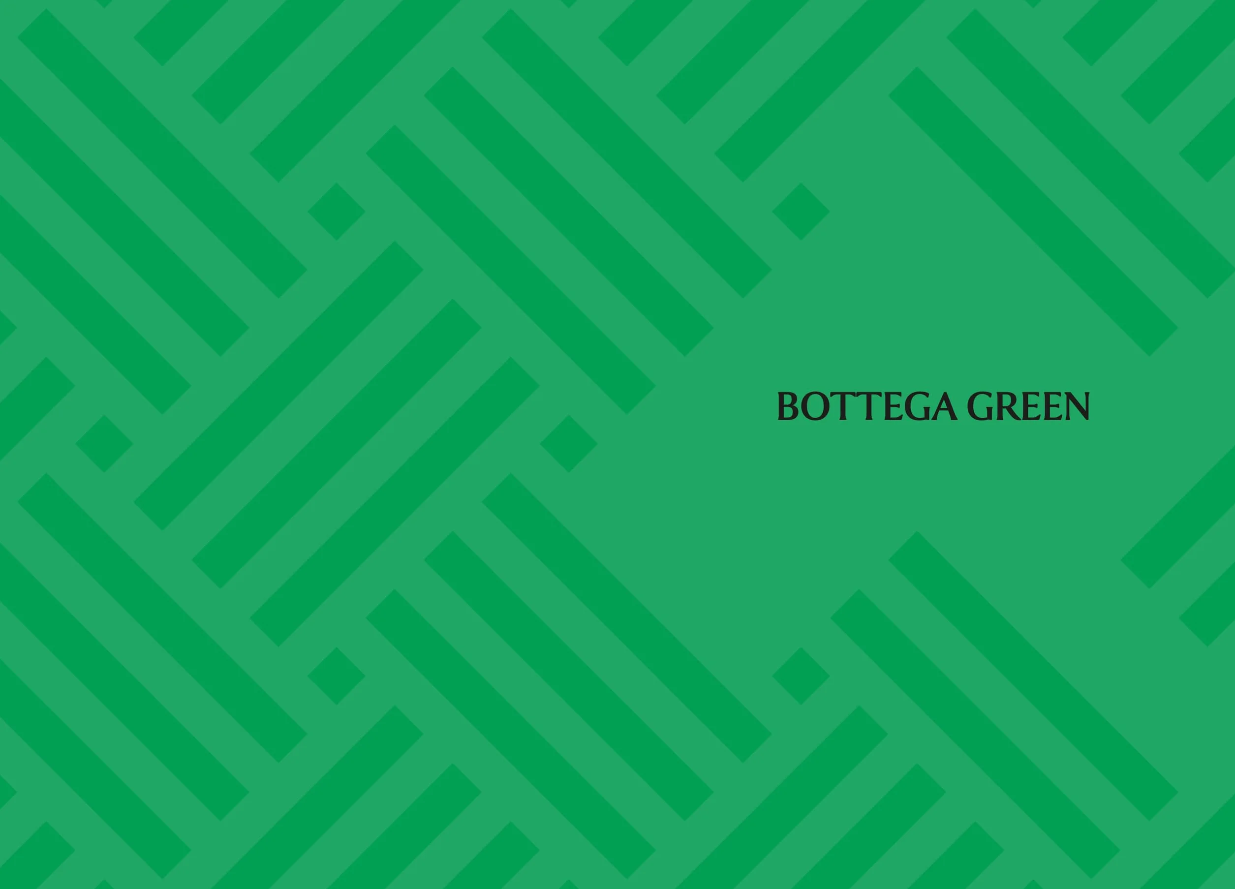Little Book of Bottega Veneta: The Story of the Iconic Fashion House