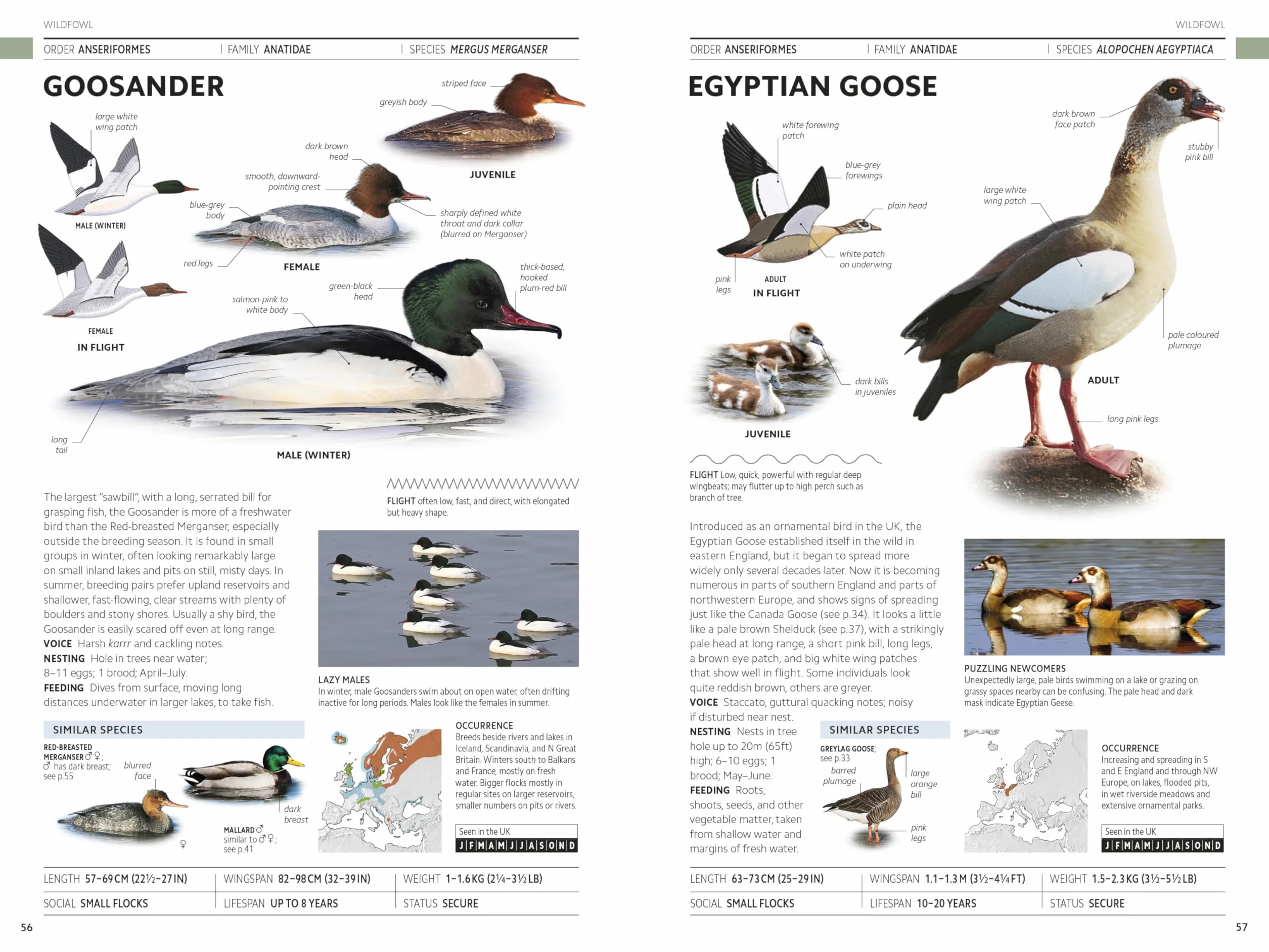Rspb Birds of Britain and Europe: The Definitive Photographic Field Guide