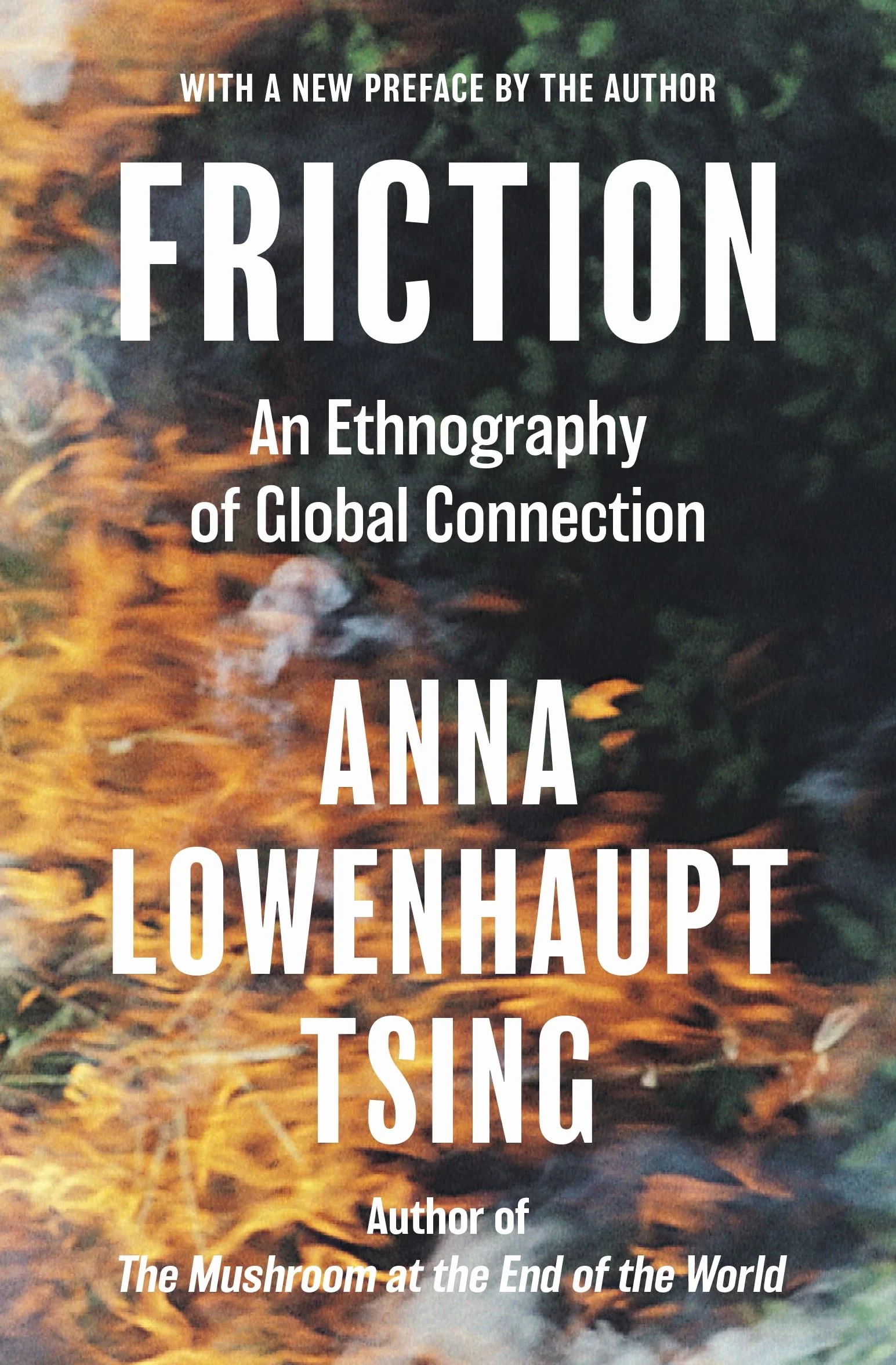 Friction: An Ethnography of Global Connection