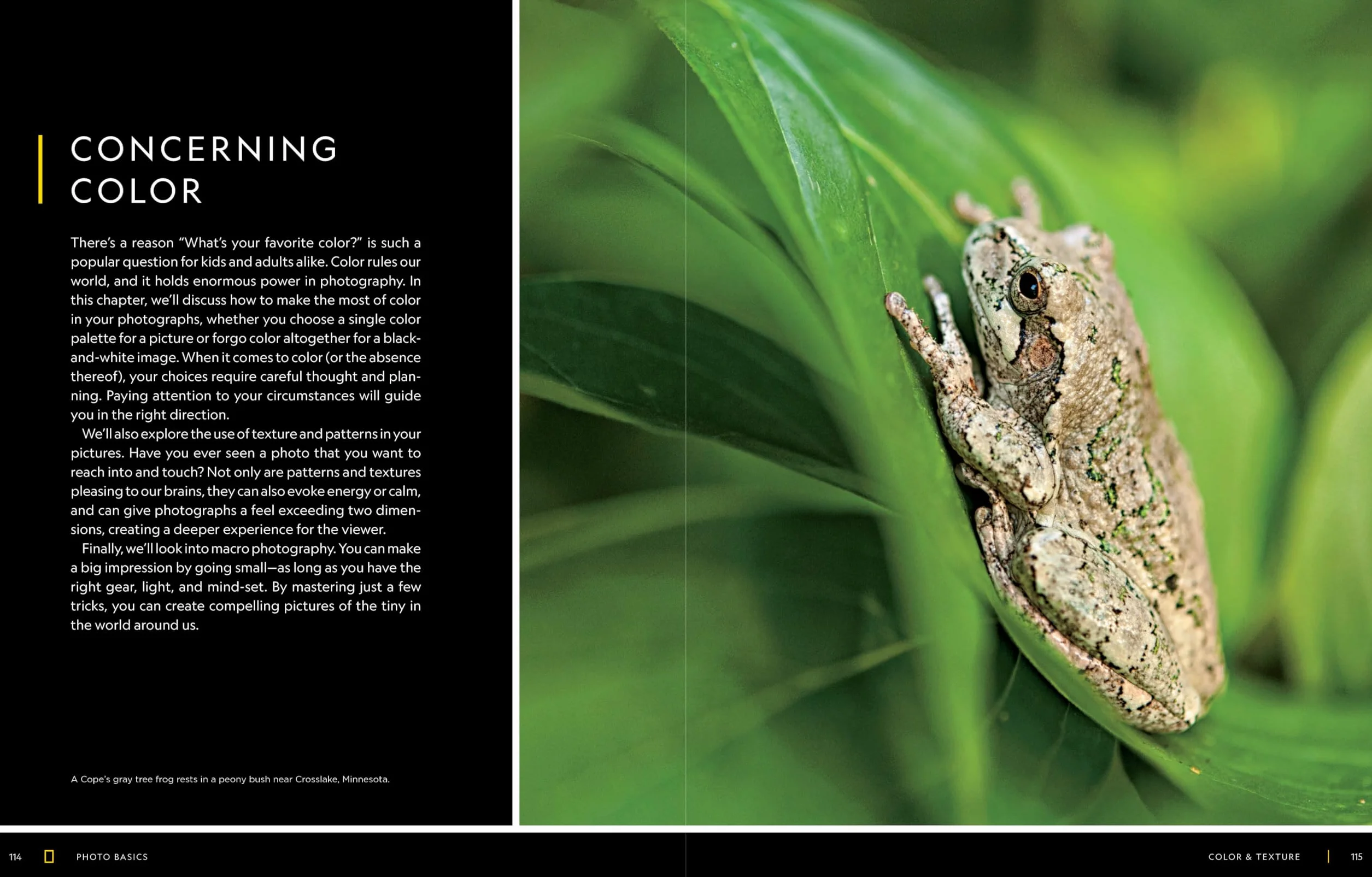 National Geographic Photo Basics: The Ultimate Beginner's Guide to Great Photography