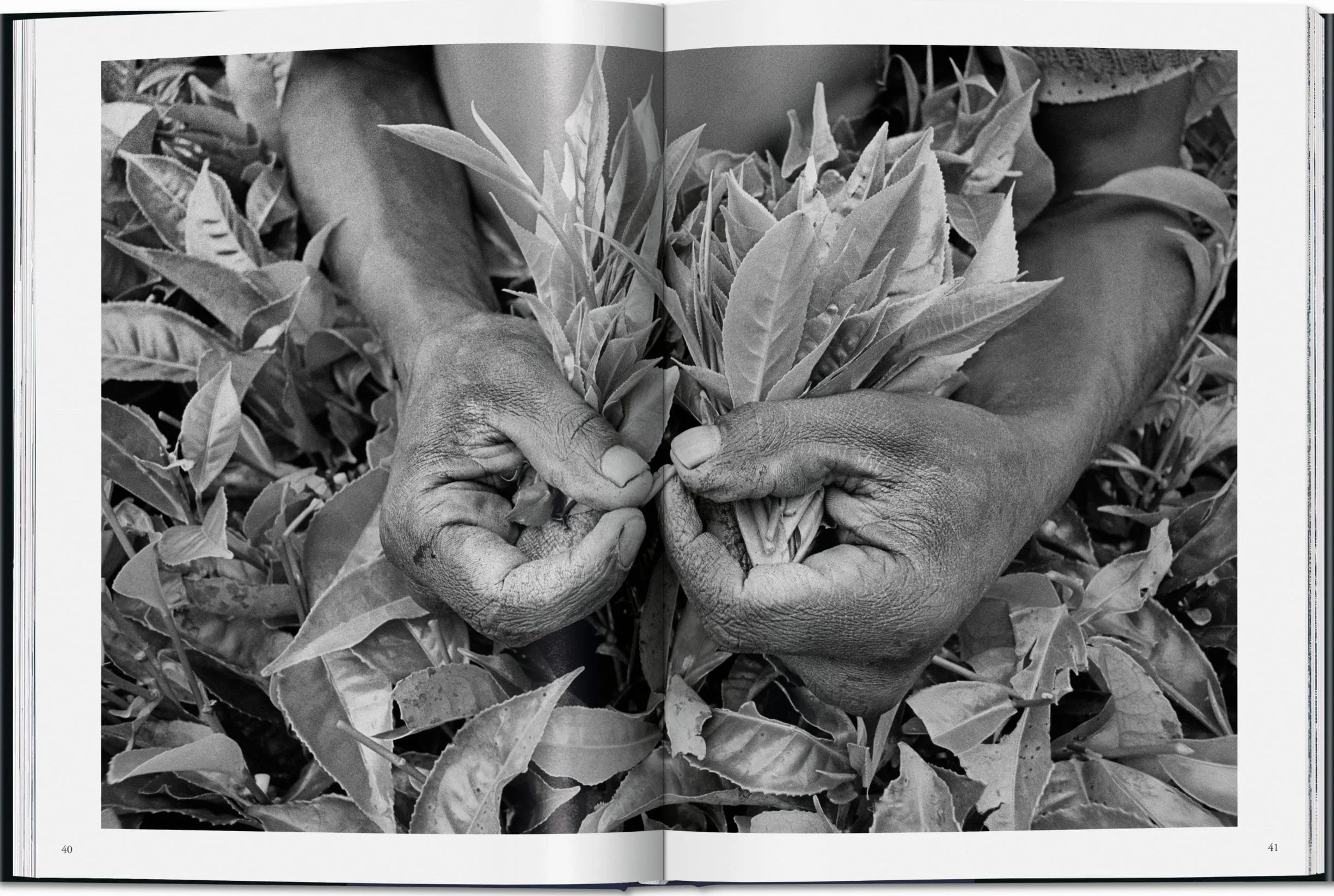 Sebastião Salgado. Workers. an Archaeology of the Industrial Age