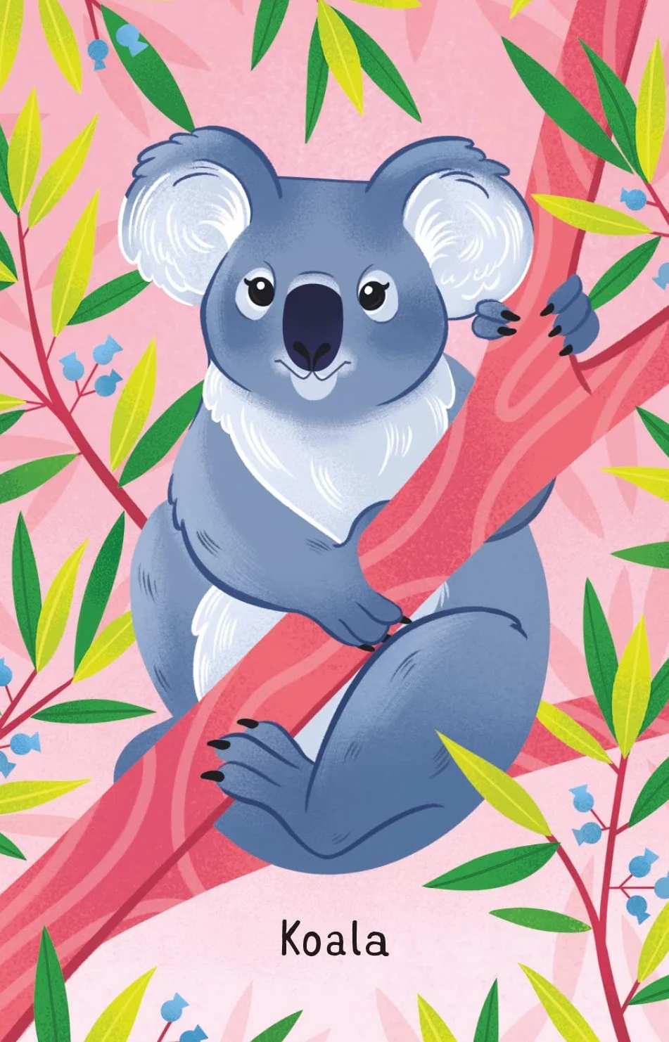 Australian Animal Snap Cards