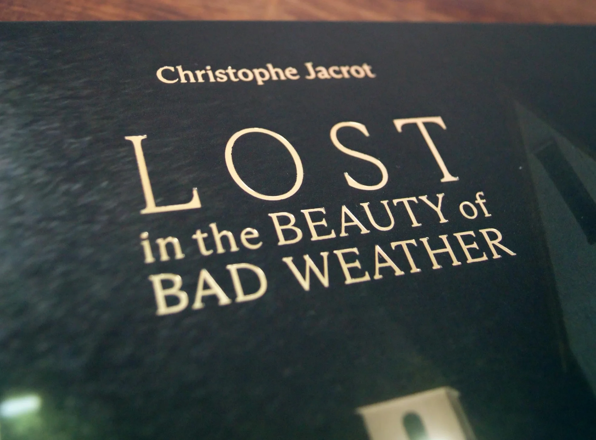 Christophe Jacrot Lost In the Beauty of Bad Weather anglais allemand