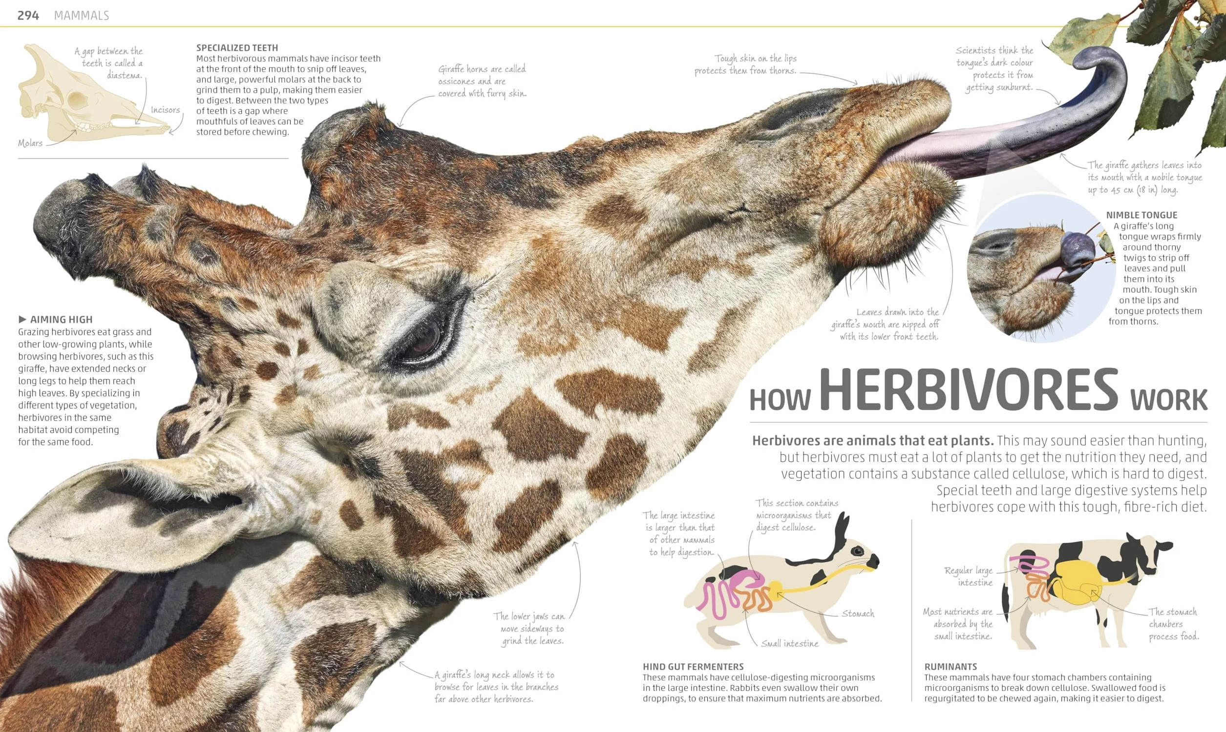 Explanatorium of Nature: Where the Wonders of the World are Revealed