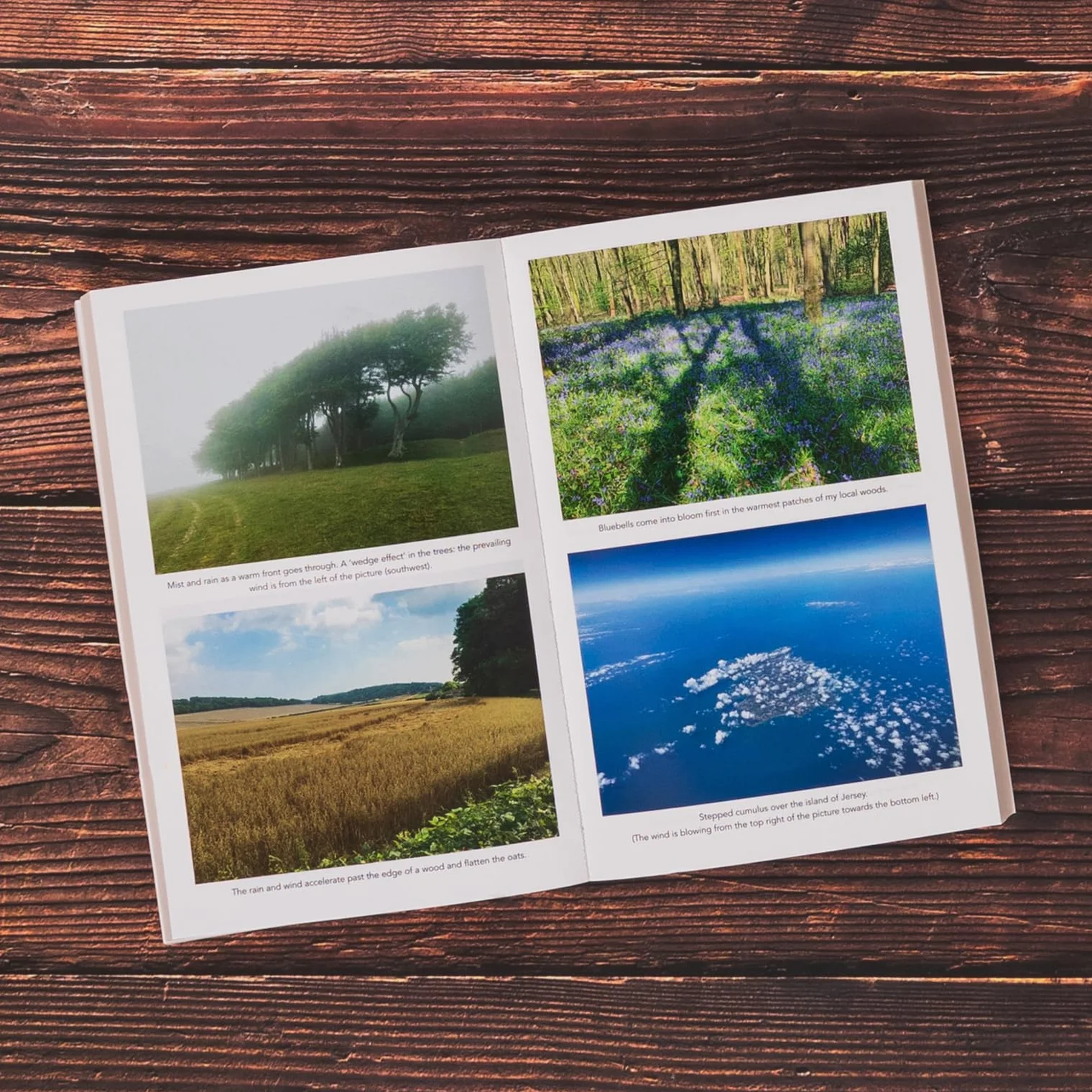 The Secret World of Weather: A Must-Have for Nature Lovers