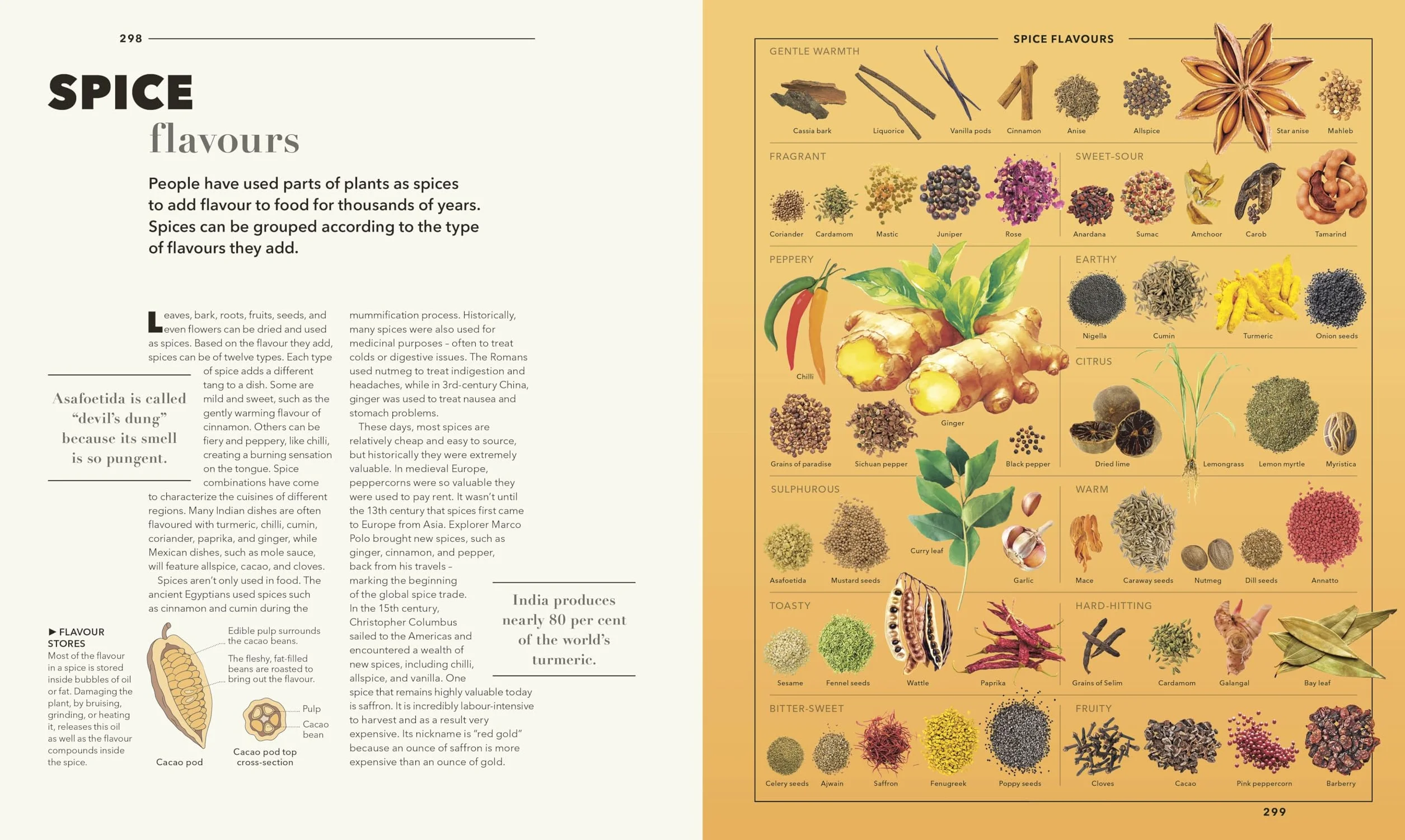 Knowledge A Visual Compendium: Making Sense of our World