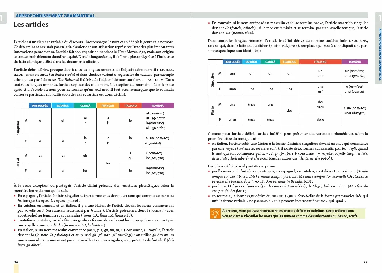 Voyage en langues romanes: Plurilinguisme, interculturel, intercompréhension