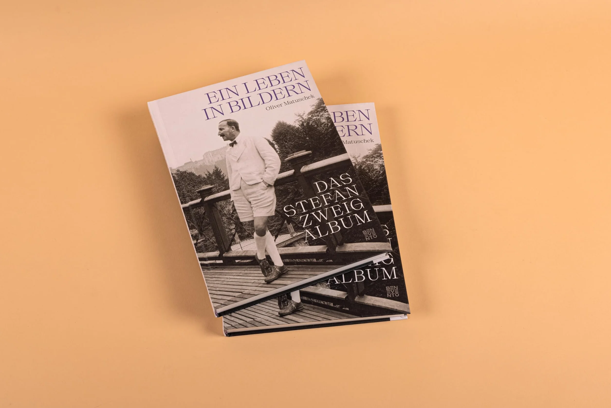 Das Stefan Zweig Album: Ein Leben in Bildern