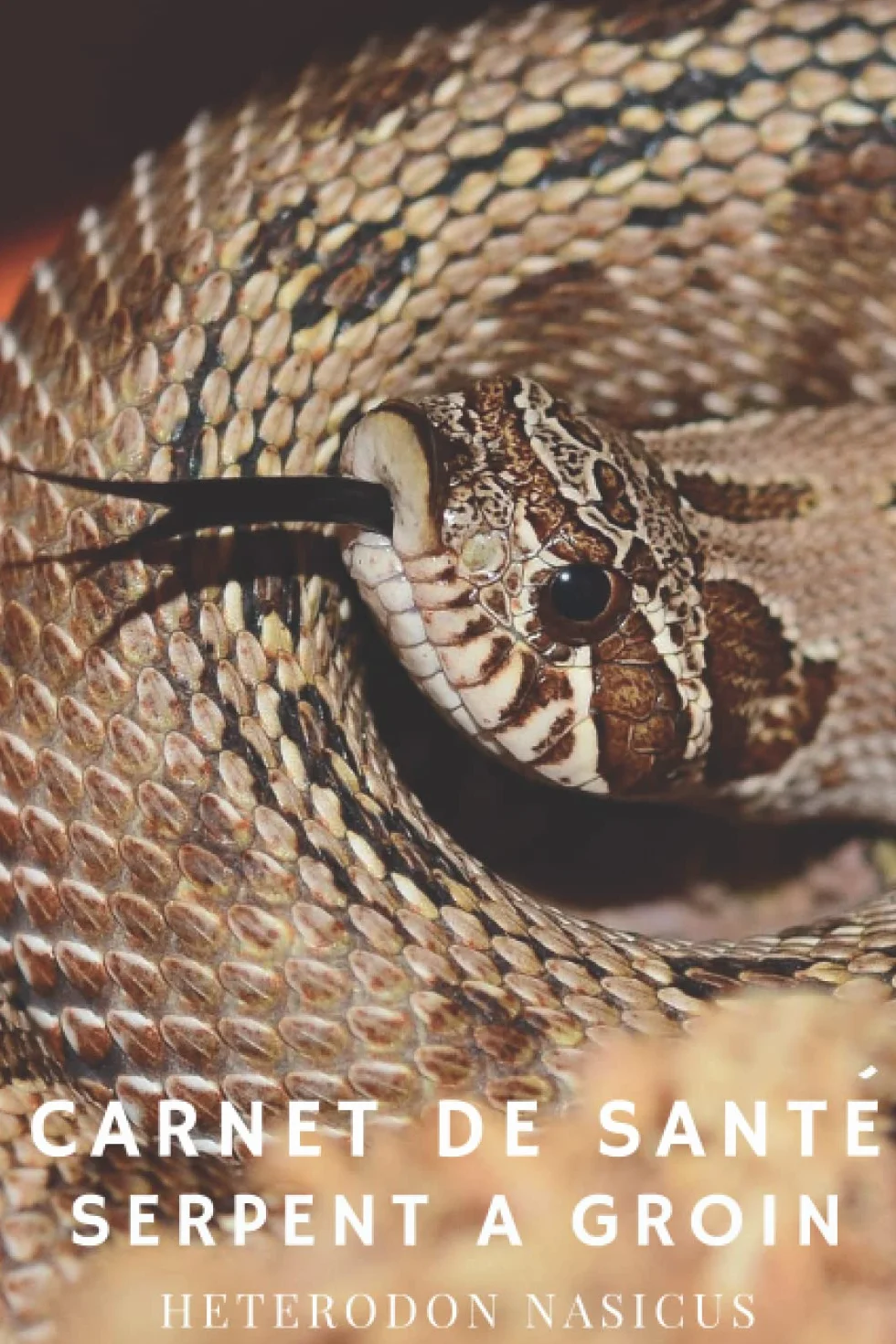 Carnet de Santé - Serpent à Groin (Heterodon nasicus): A remplir, tout pour garder votre serpent en bonne santé.