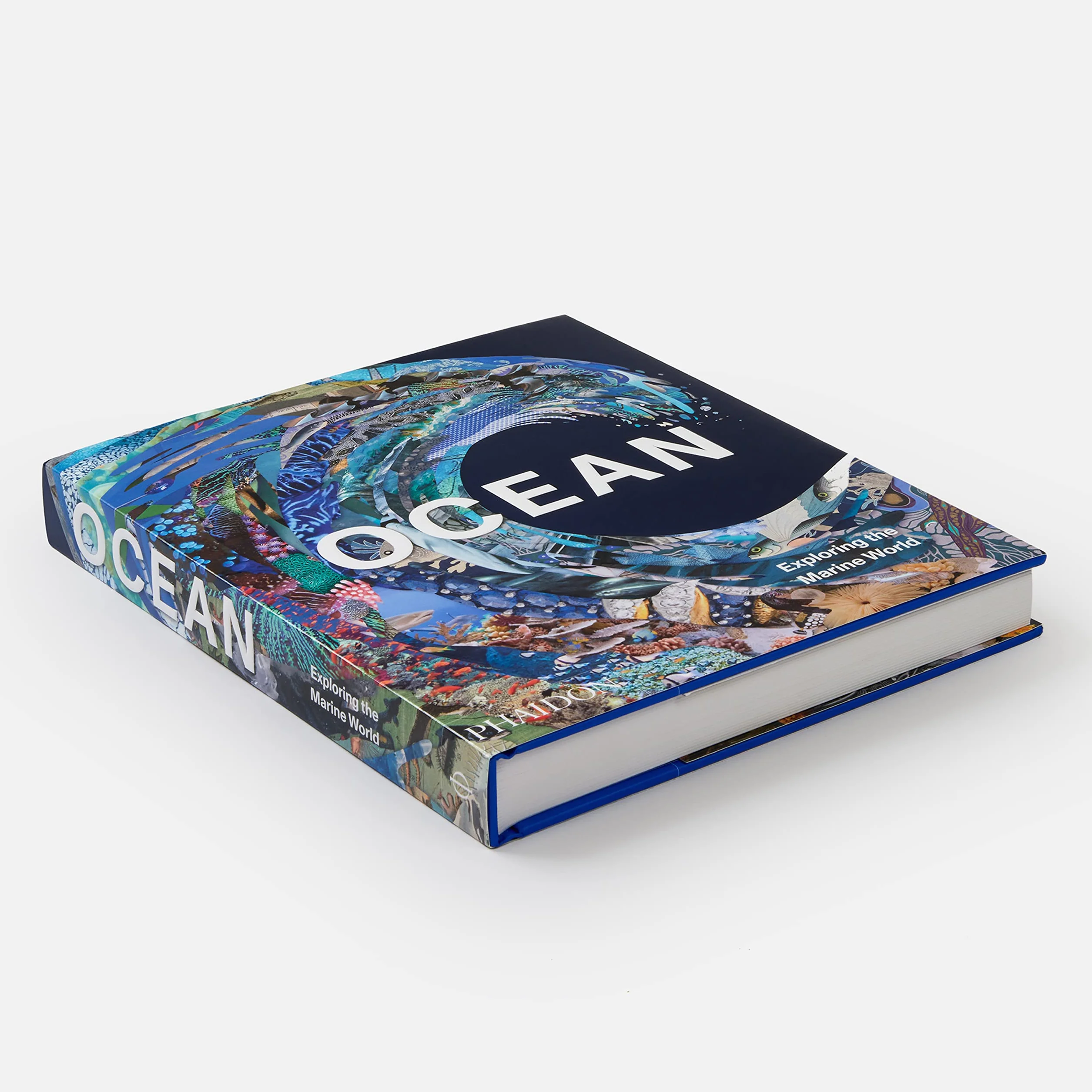 Ocean: exploring the marine world
