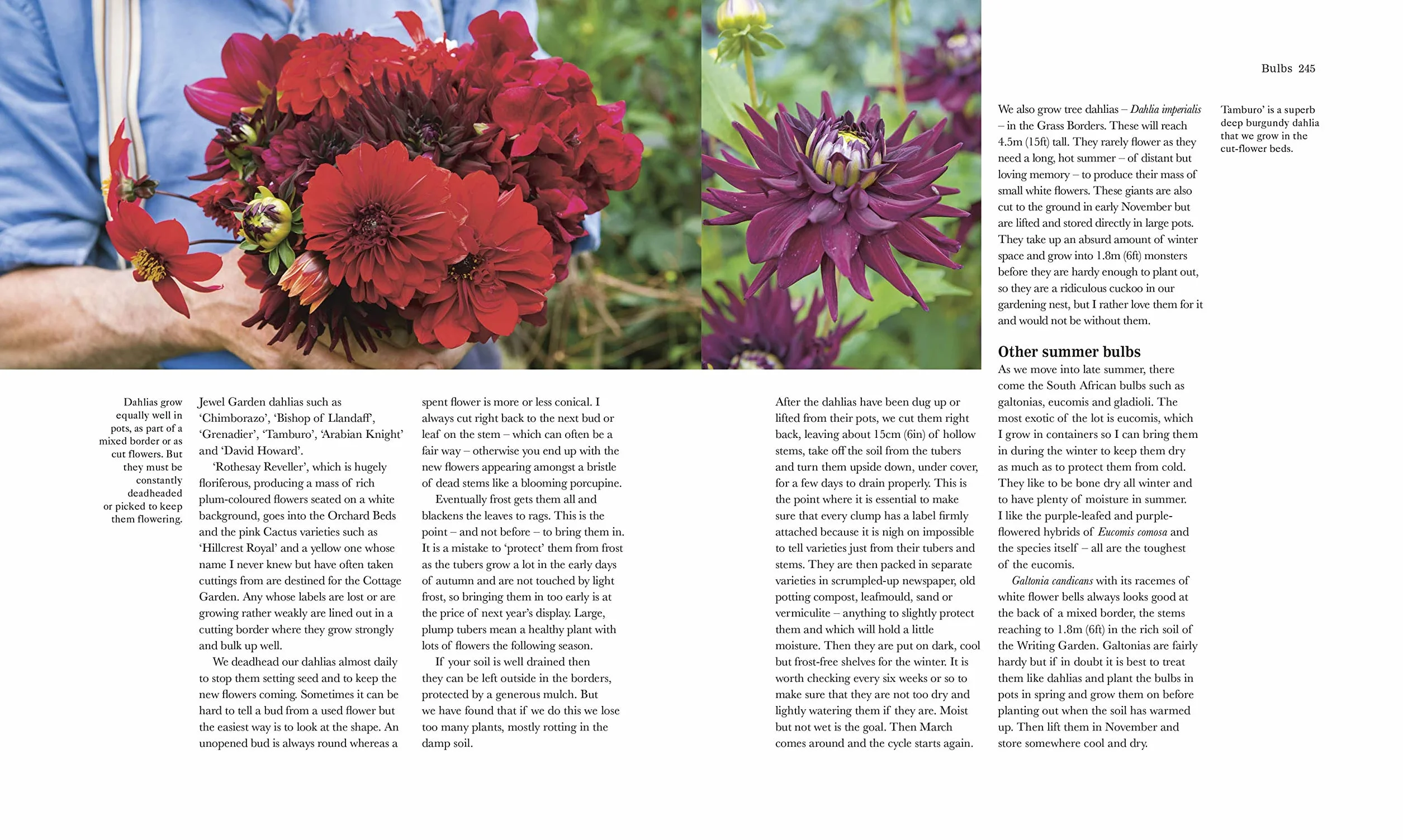 The Complete Gardener: A Practical Guide to Gardening