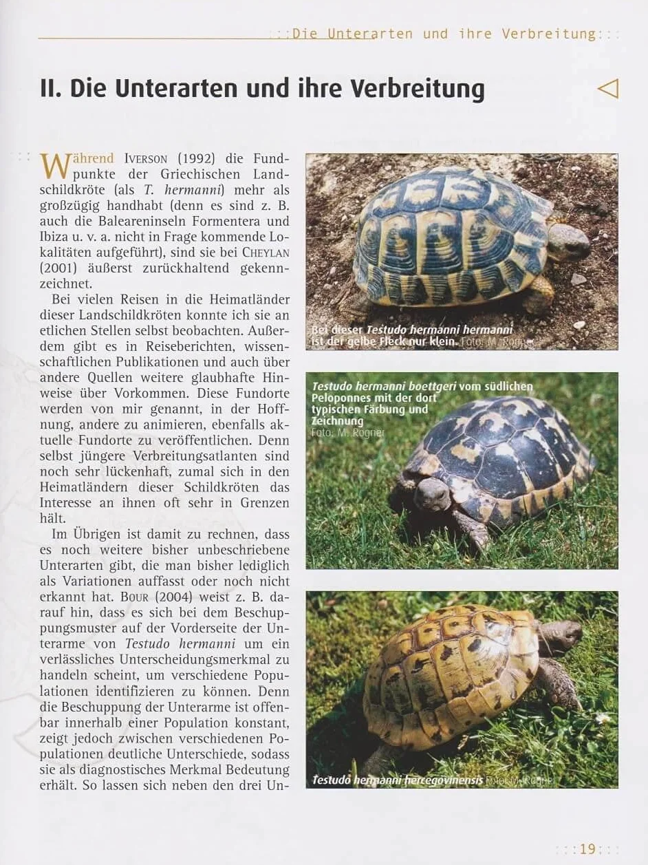 Griechische Landschildkröten: (Testudo hemanni hermanni, T. h. boettergi, T. h. hervegovinensis). Verbreitung, Lebensräume, Haltung und Vermehrung