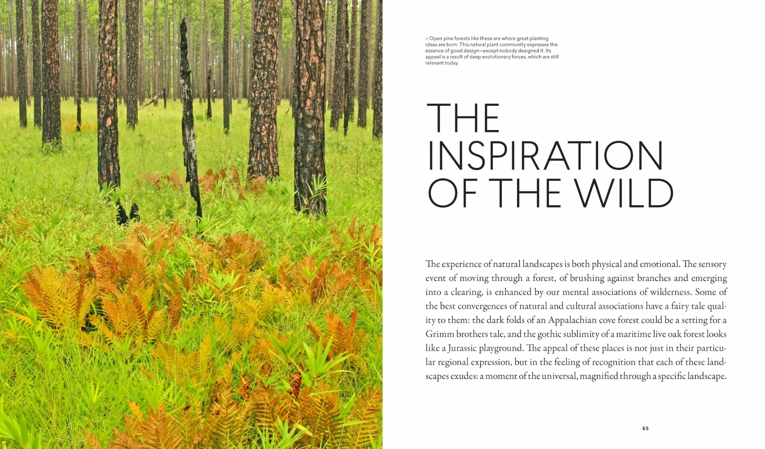 Planting in a Post-Wild World: Designing Plant Communities for Resilient Landscapes